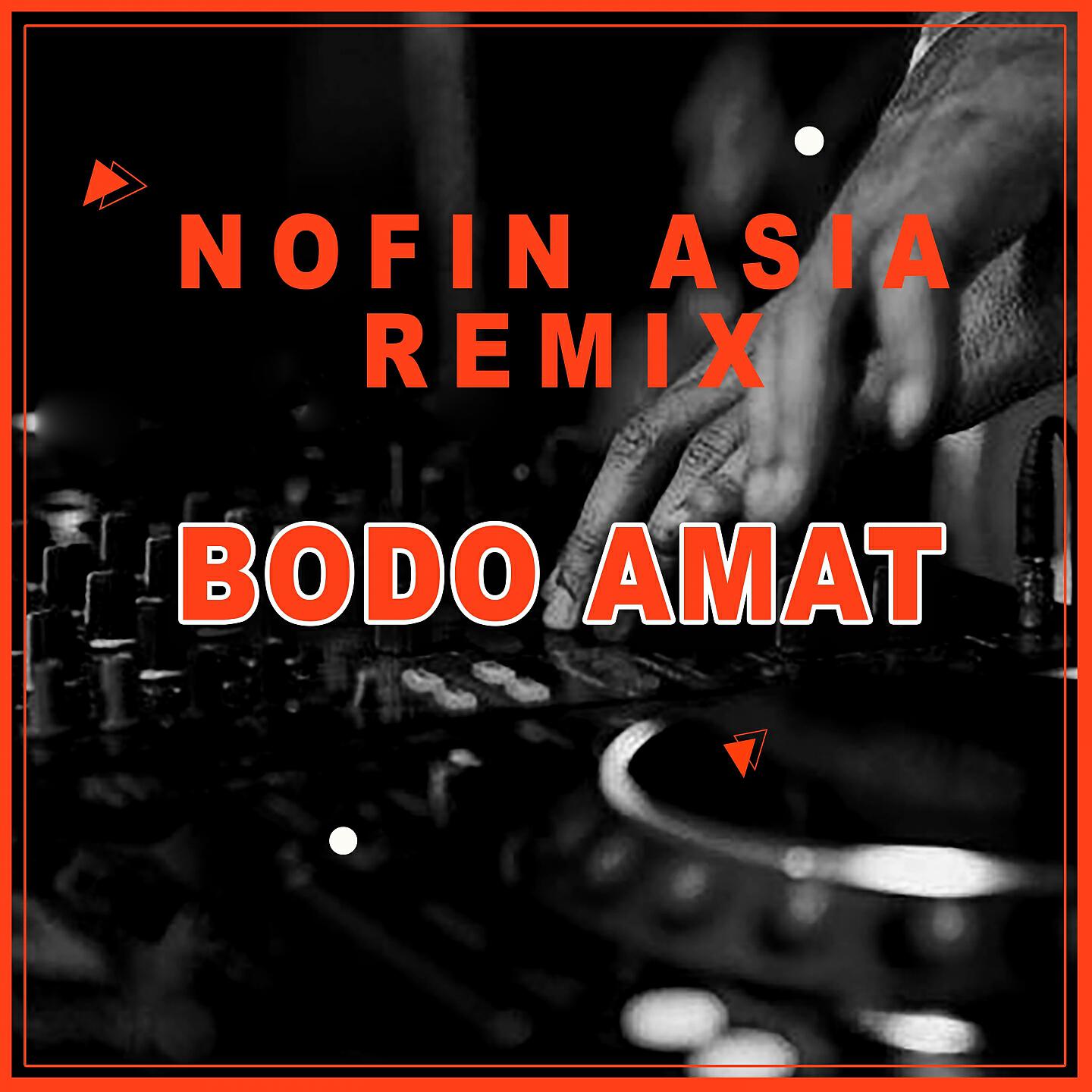 Nofin Asia - Bodo Amat (Remix)