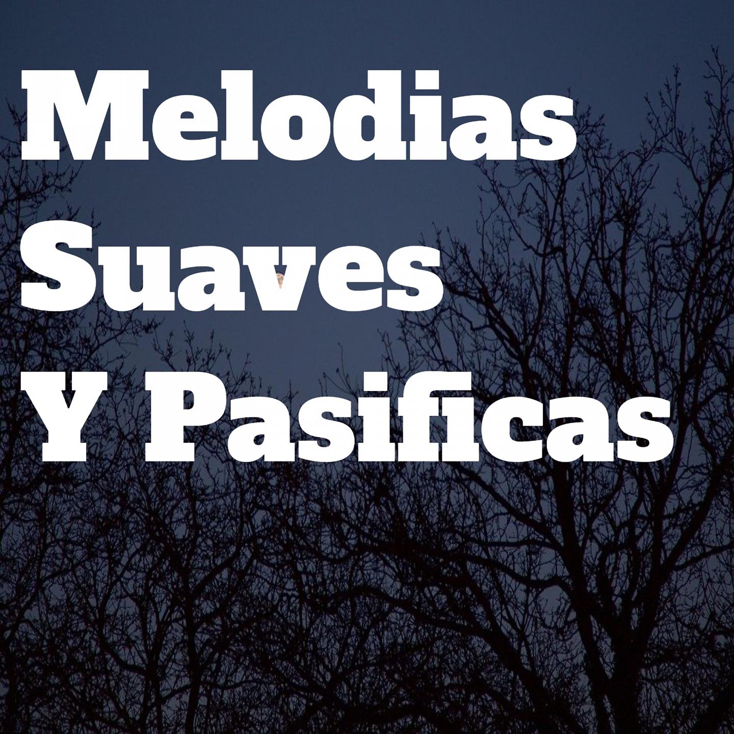 Постер альбома Melodias Suaves Y Pasificas