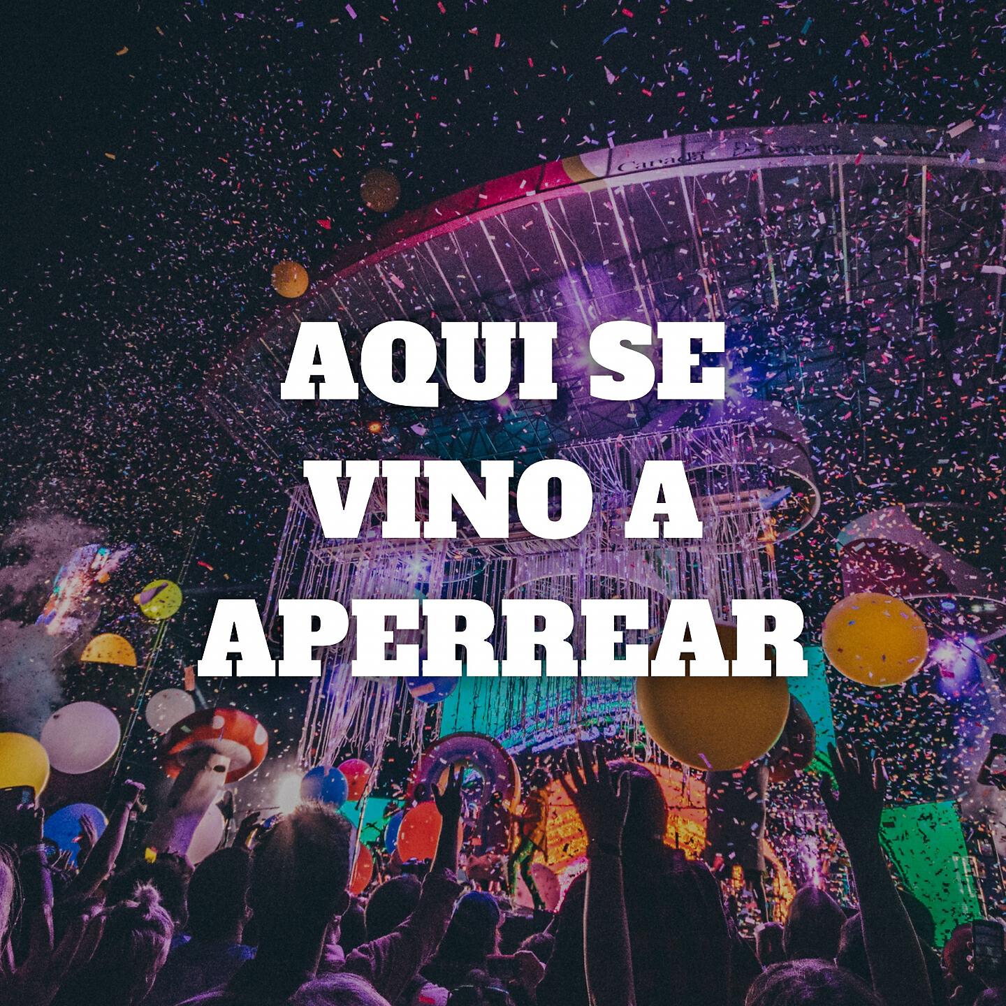Dj Perreo Mix - Aqui Se Vino a Perrear