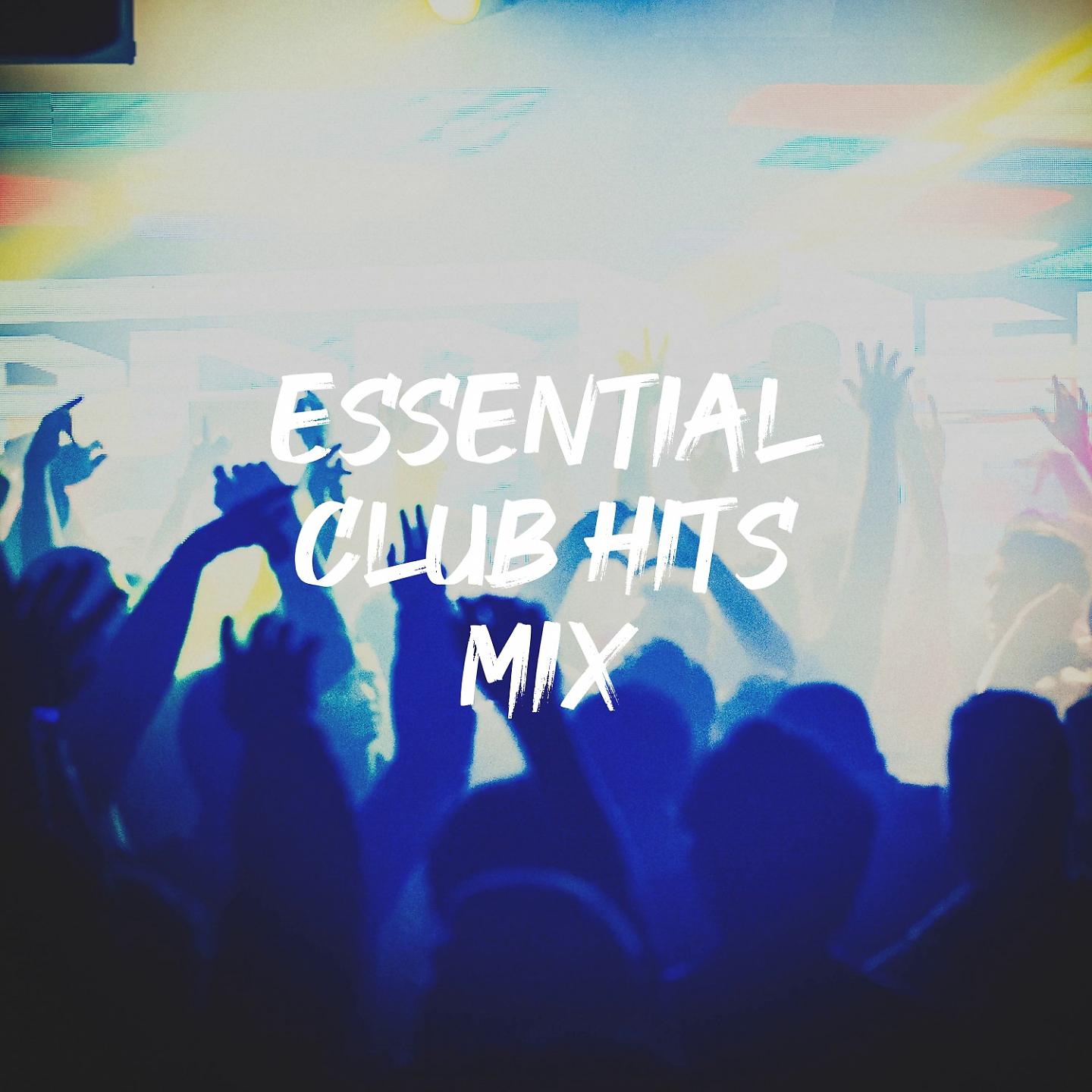 Постер альбома Essential Club Hits Mix