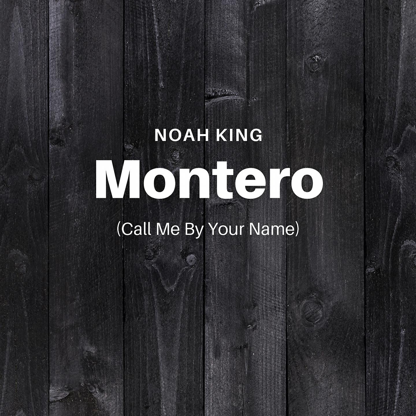Noah King - Montero (Call Me by Your Name) (Instrumental)