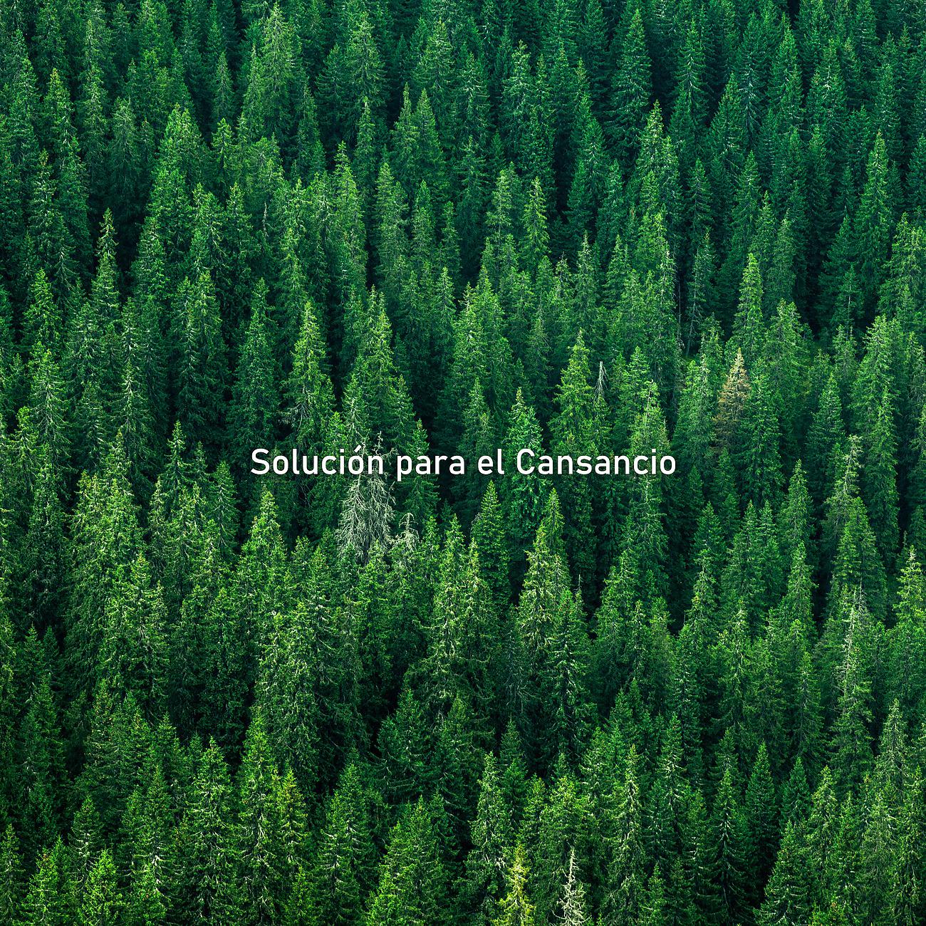 Постер альбома Solución para el Cansancio