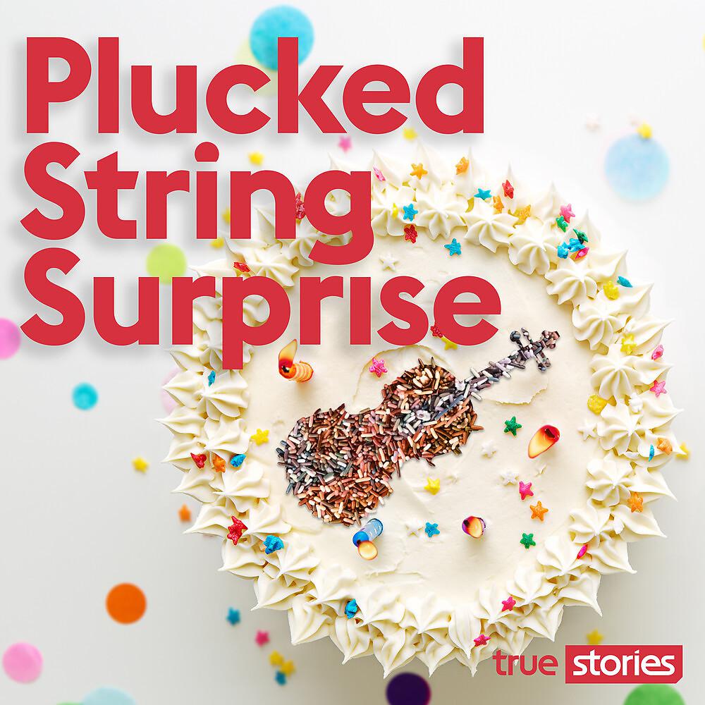 Постер альбома Plucked String Surprise