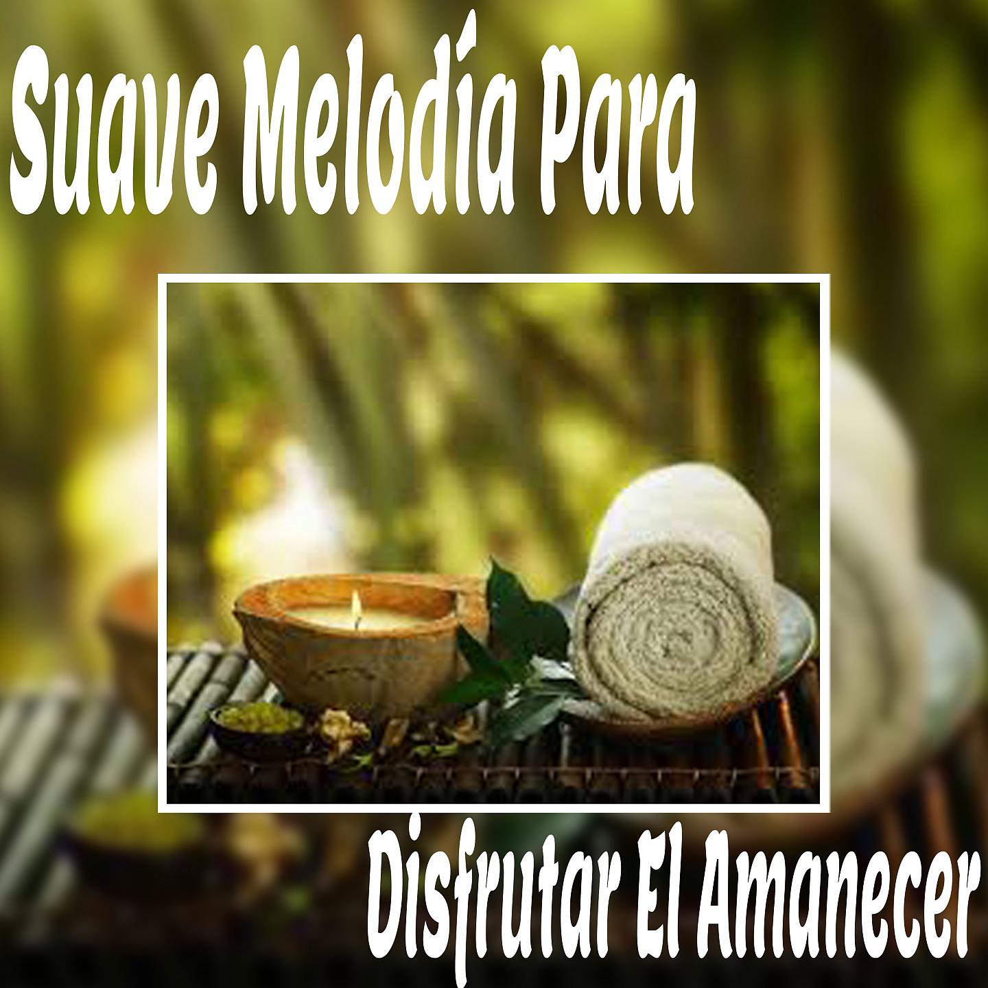 Постер альбома Suave Melodía para Disfrutar el Amanecer