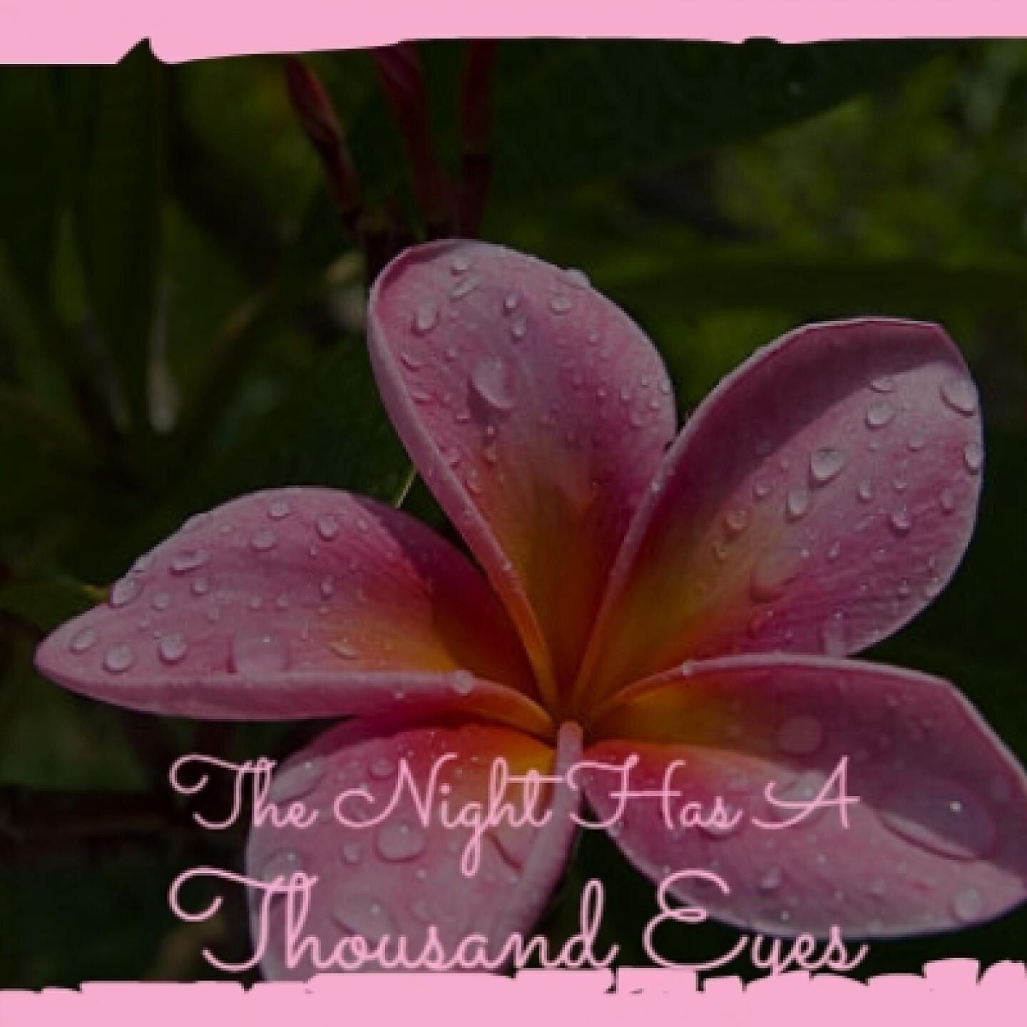 Alex North - Gioconda (Original Soundtrack from 'The Rose Tattoo')