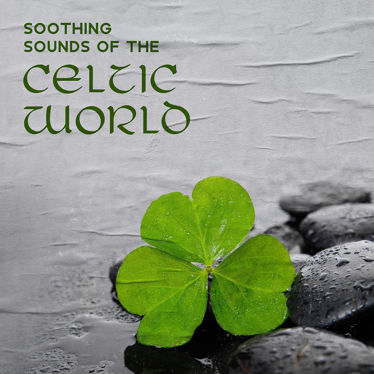 Постер альбома Soothing Sounds of the Celtic World - Spa Treatment to Balance Body Elements, Harmony of Harp, Piano, Waves & Flute Sounds
