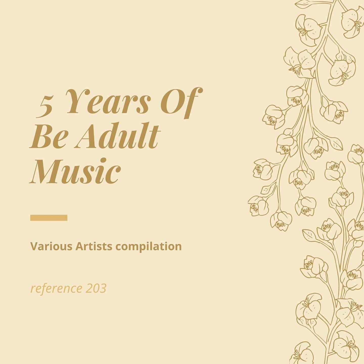 Постер альбома 5 Years of Be Adult Music