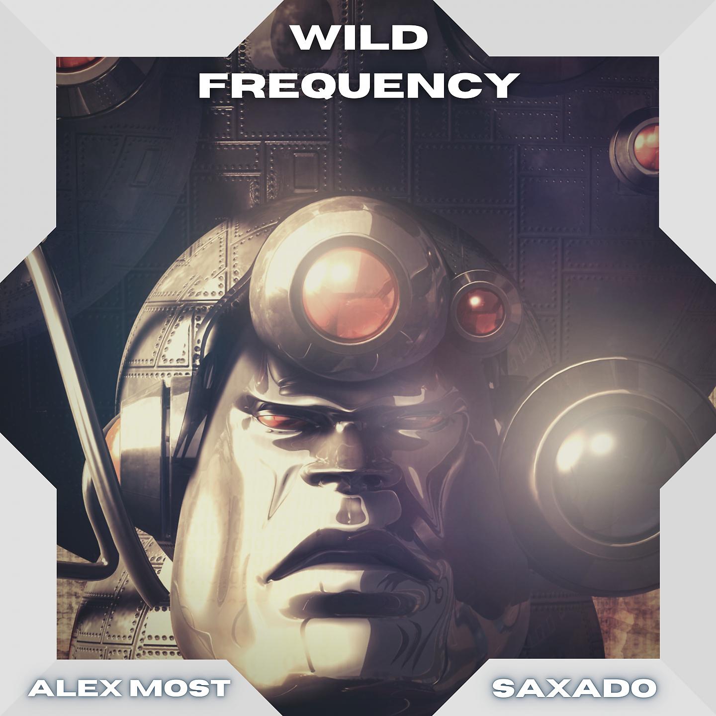 Постер альбома Wild Frequency