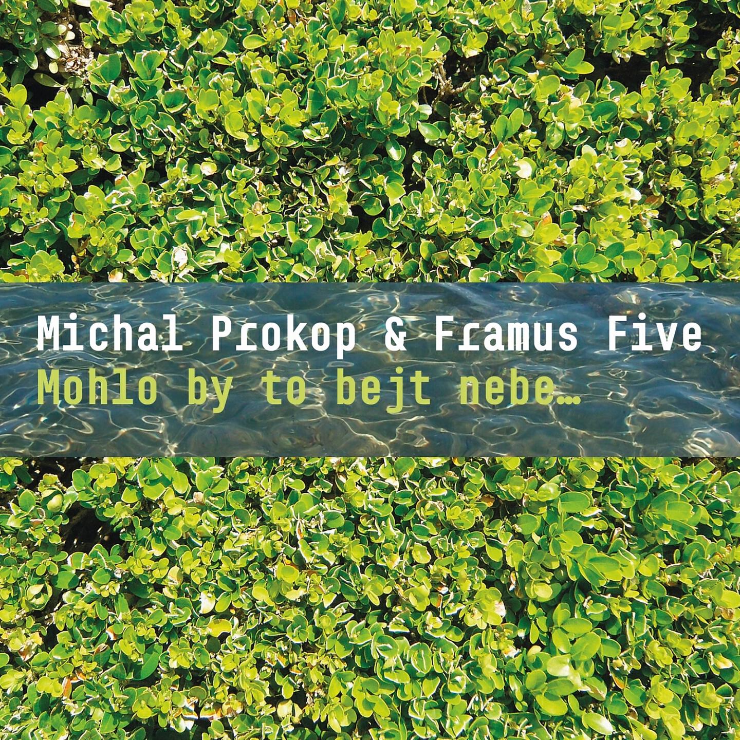 Michal Prokop - Deštník