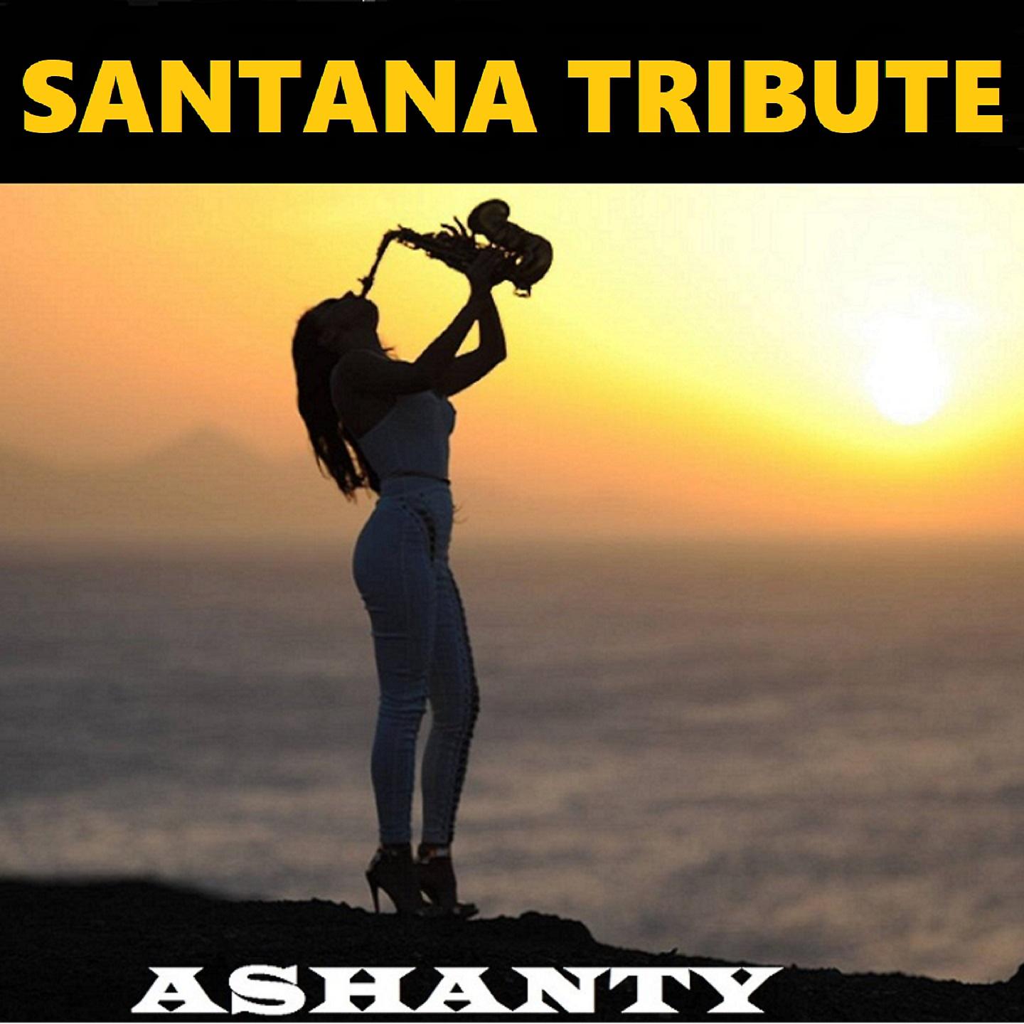 Постер альбома Santana Tribute