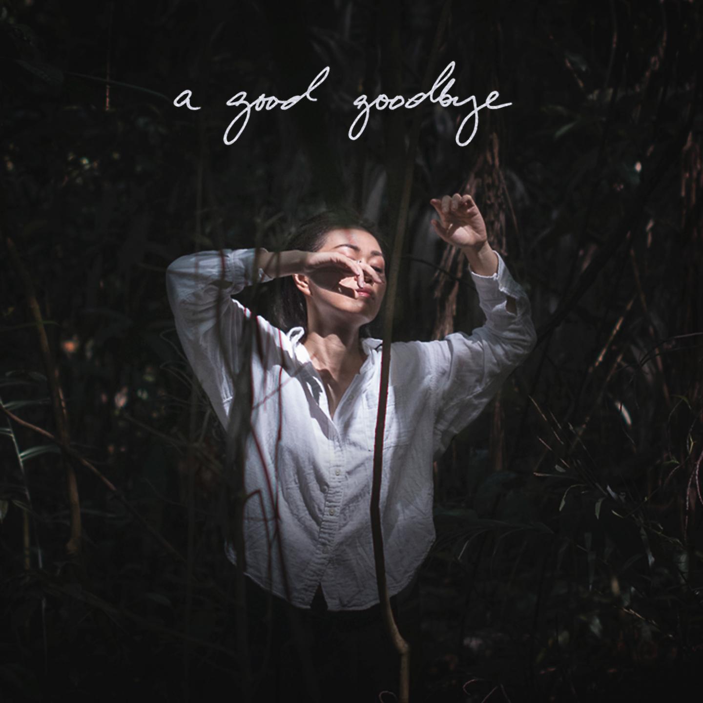 Постер альбома A Good Goodbye