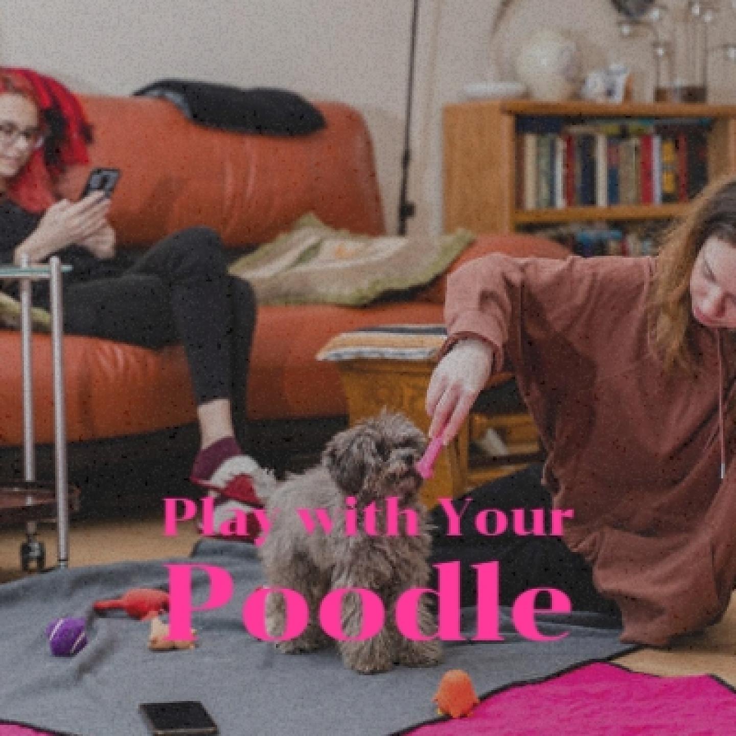 Постер альбома Play with Your Poodle