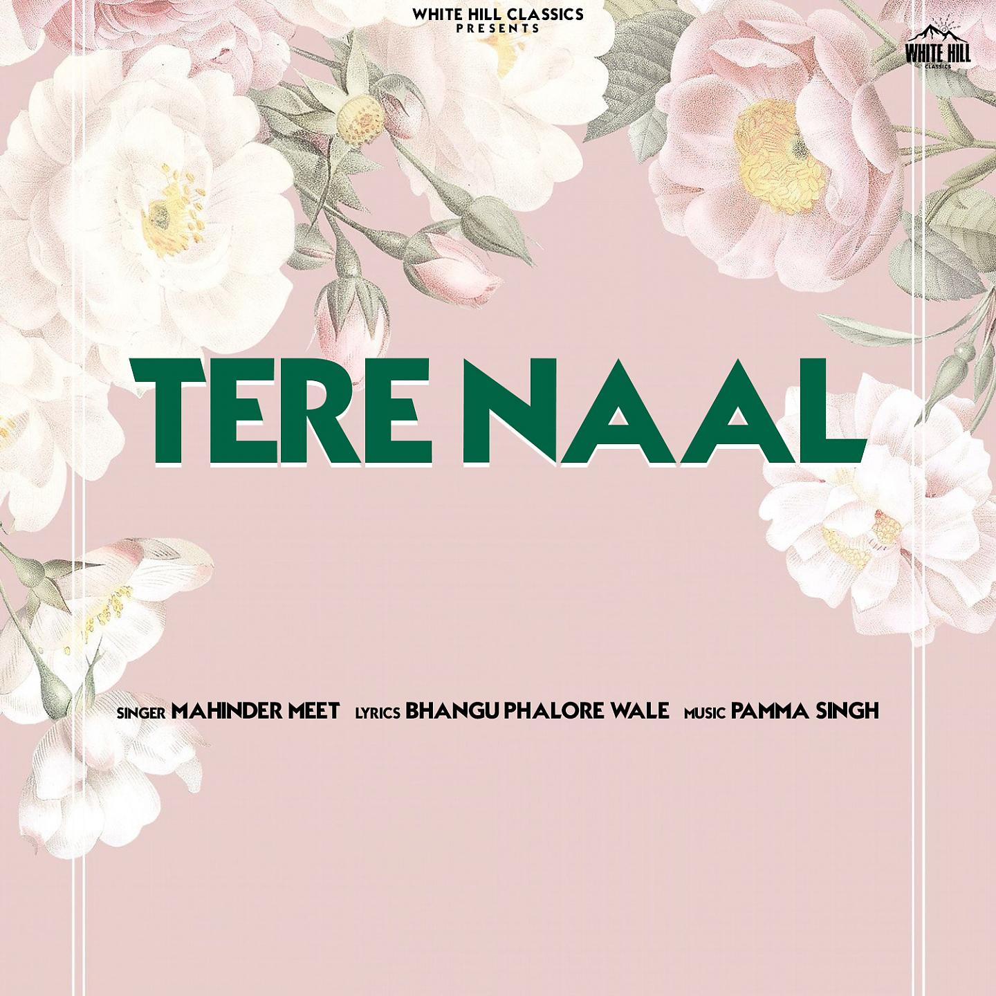 Постер альбома Tere Naal