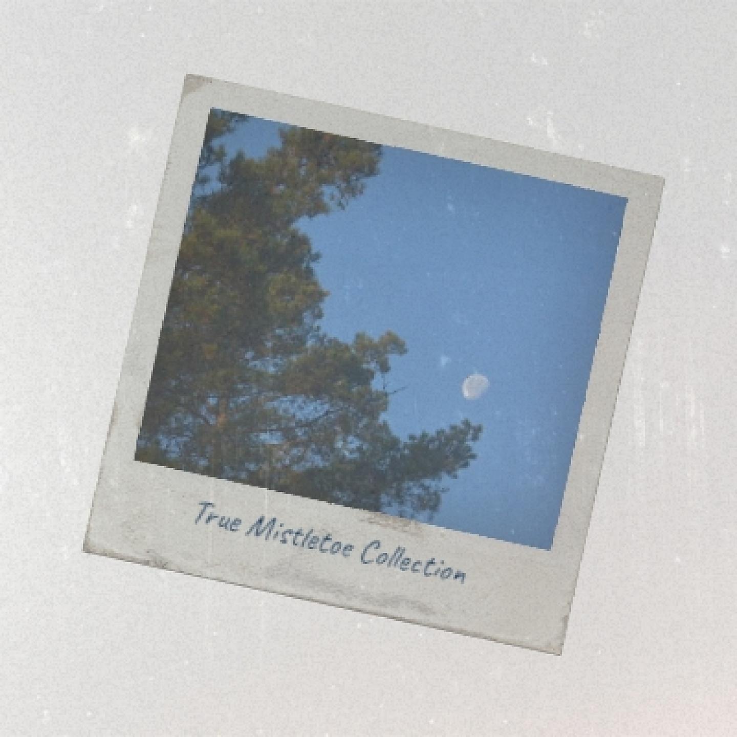 Постер альбома True Mistletoe Collection