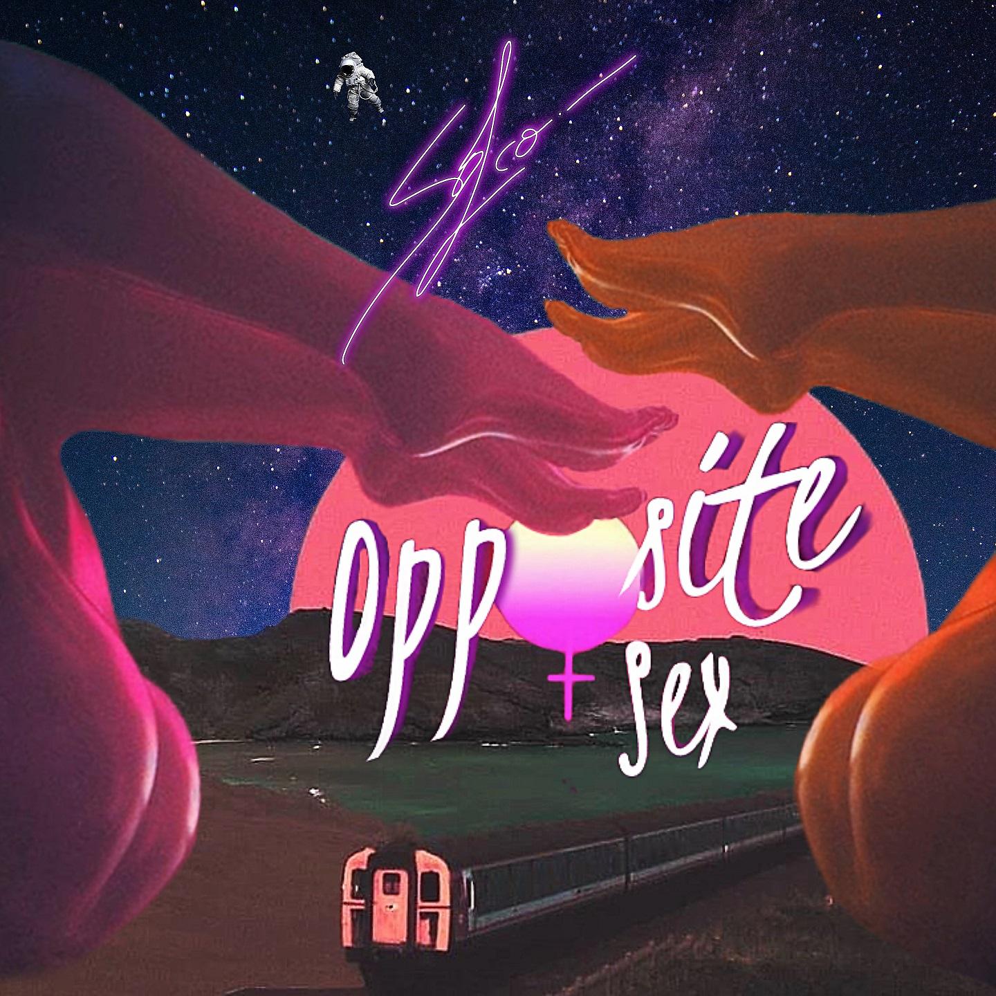 Постер альбома Opposite Sex