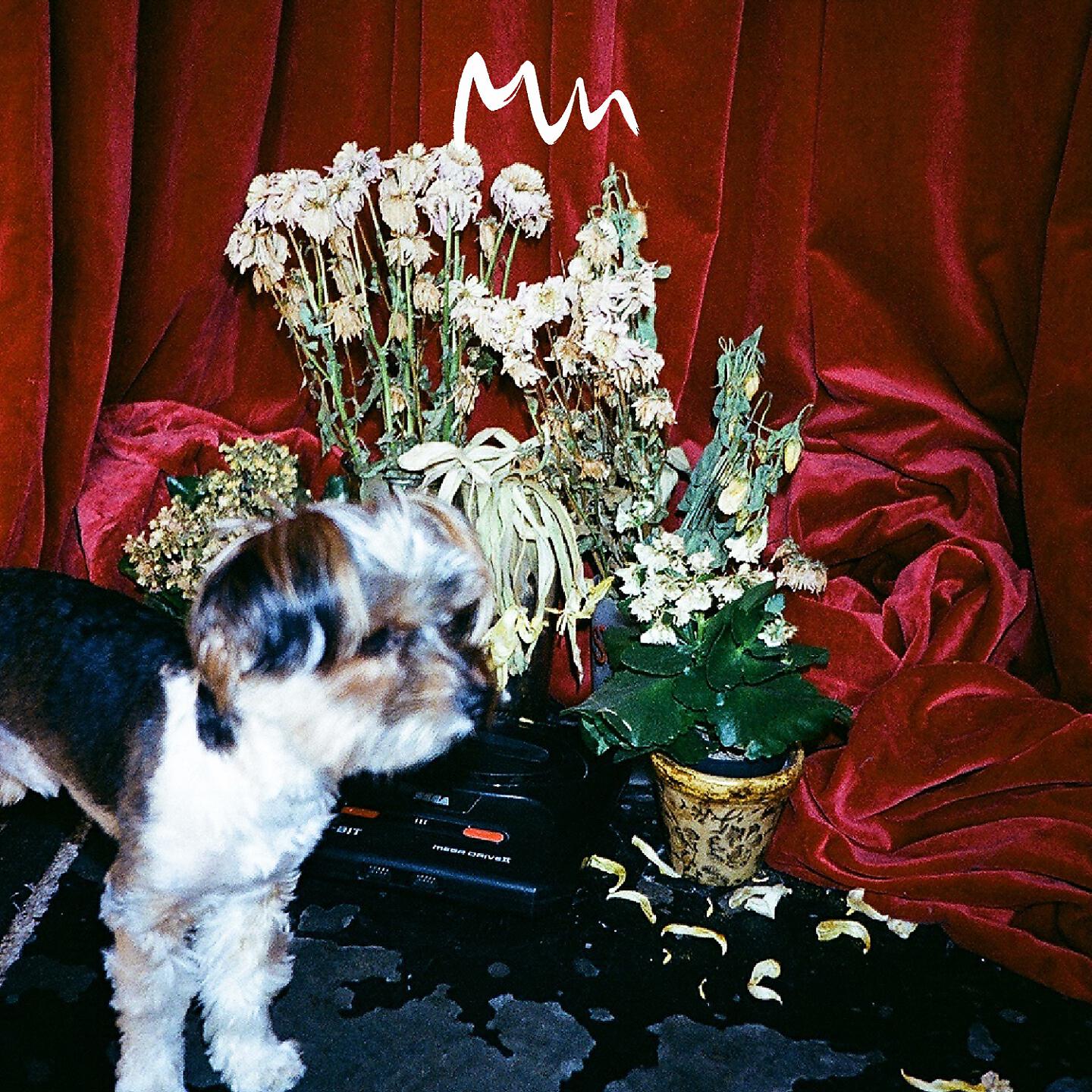 Model Man - Beta (Marquis Hawkes Remix)