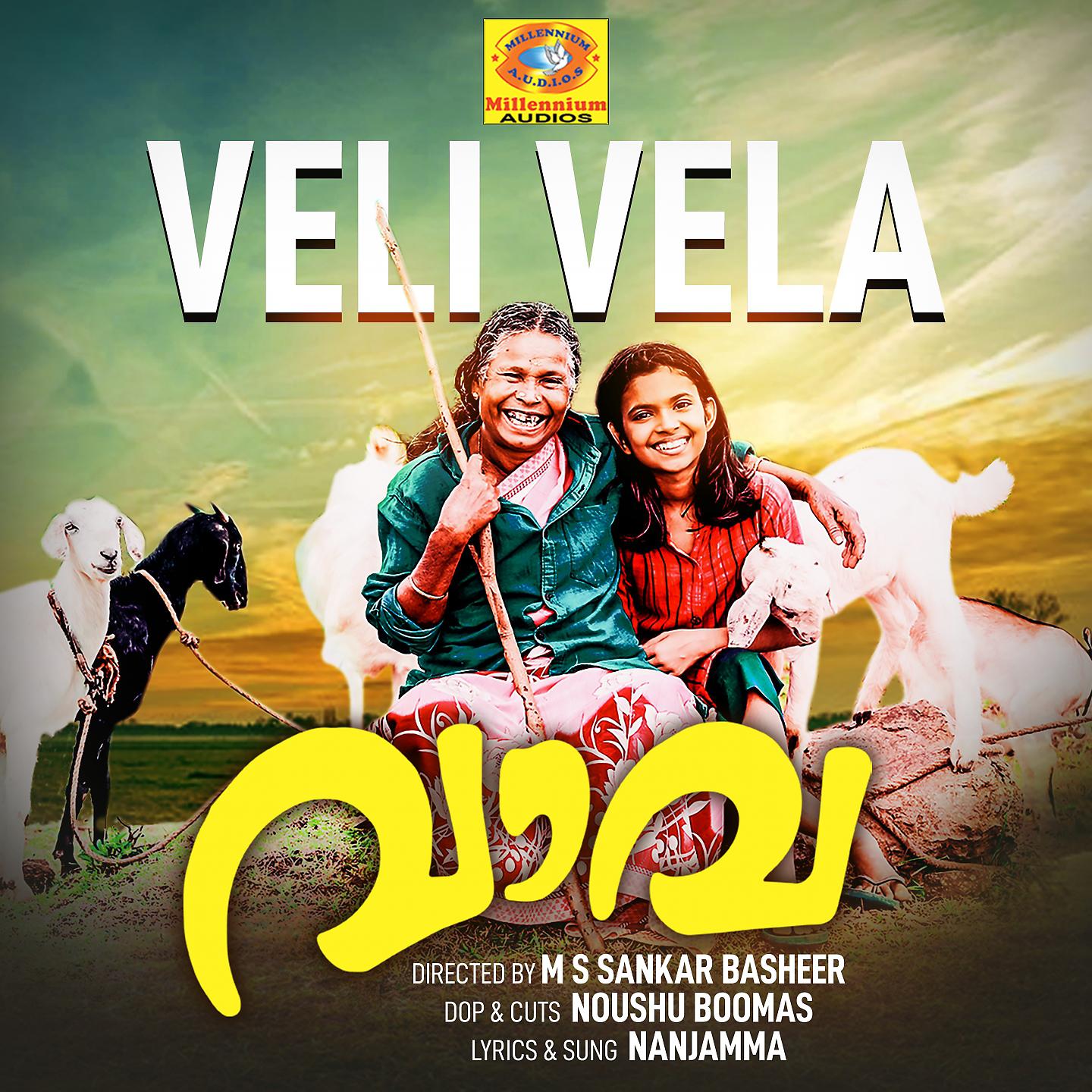 Постер альбома Veli Vela