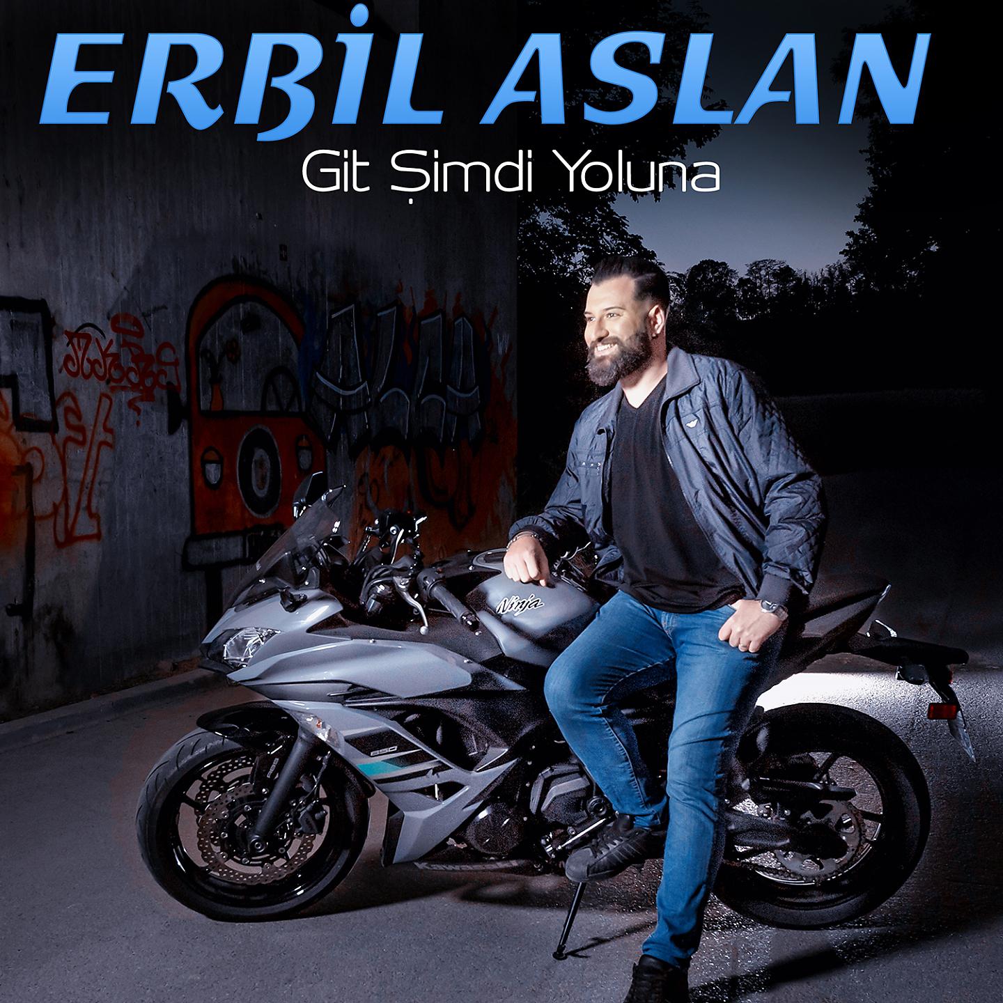 Постер альбома Git Şimdi Yoluna