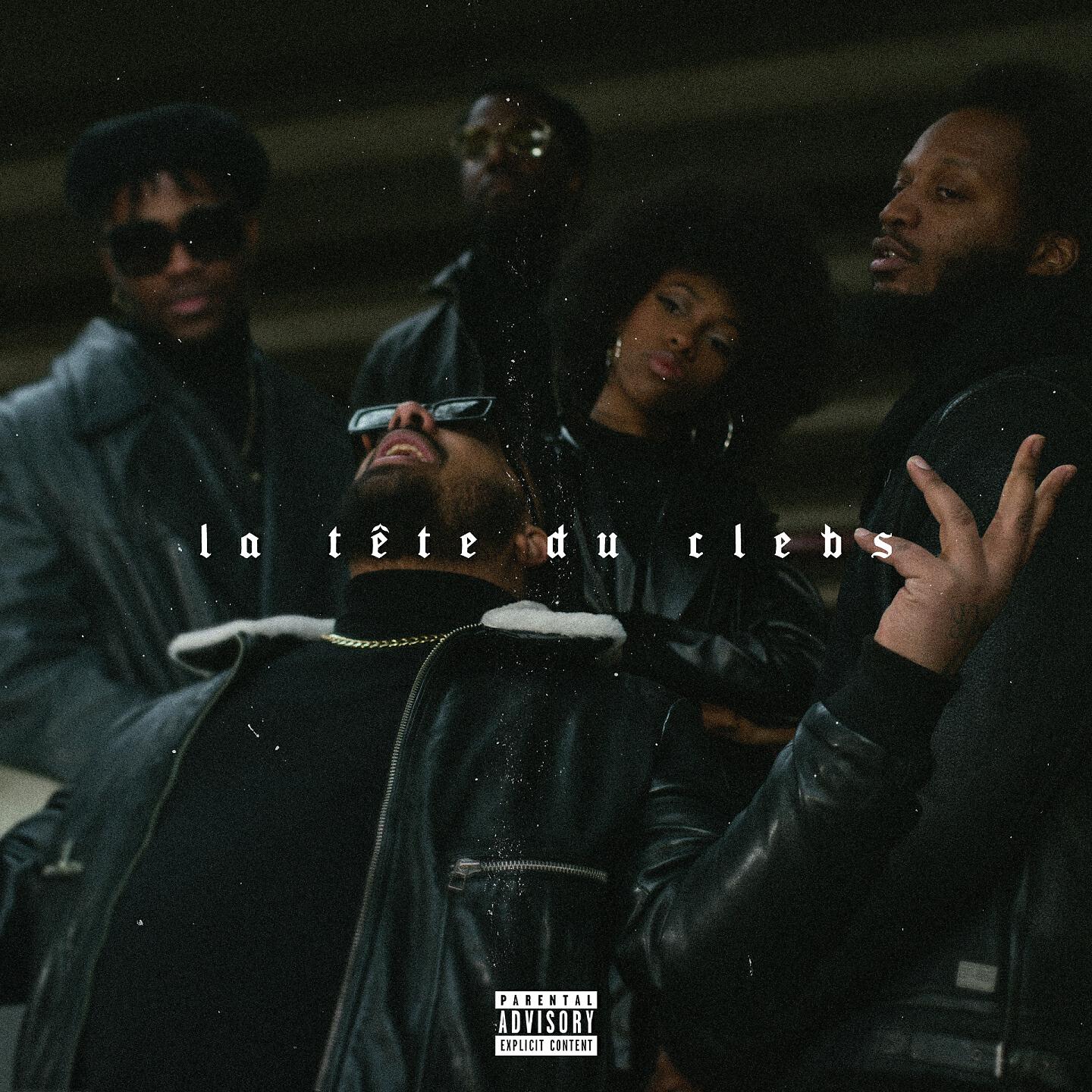 A2H - La tête du clebs