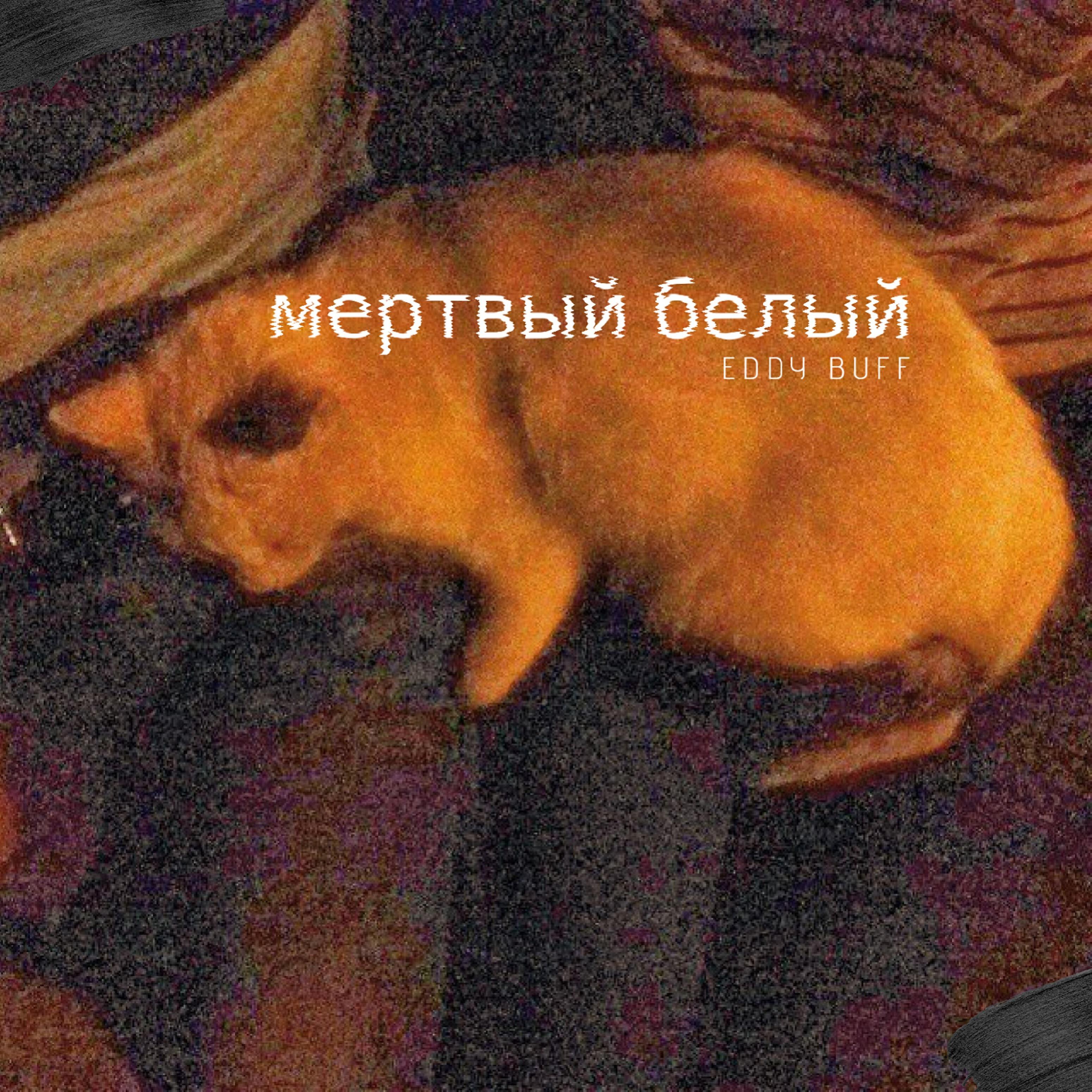 Eddy Buff - Мертвый белый