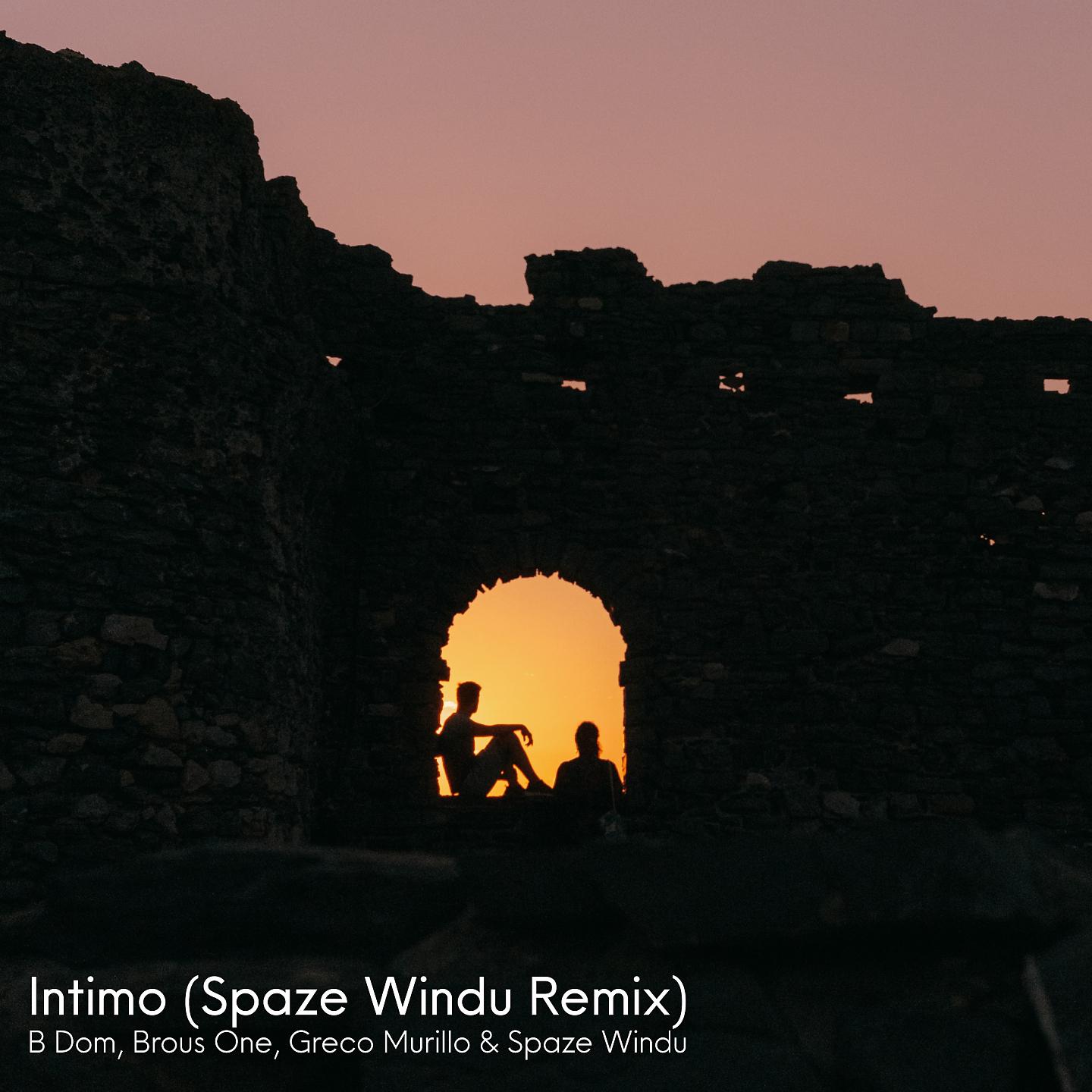 Постер альбома Intimo (Spaze Windu Remix)