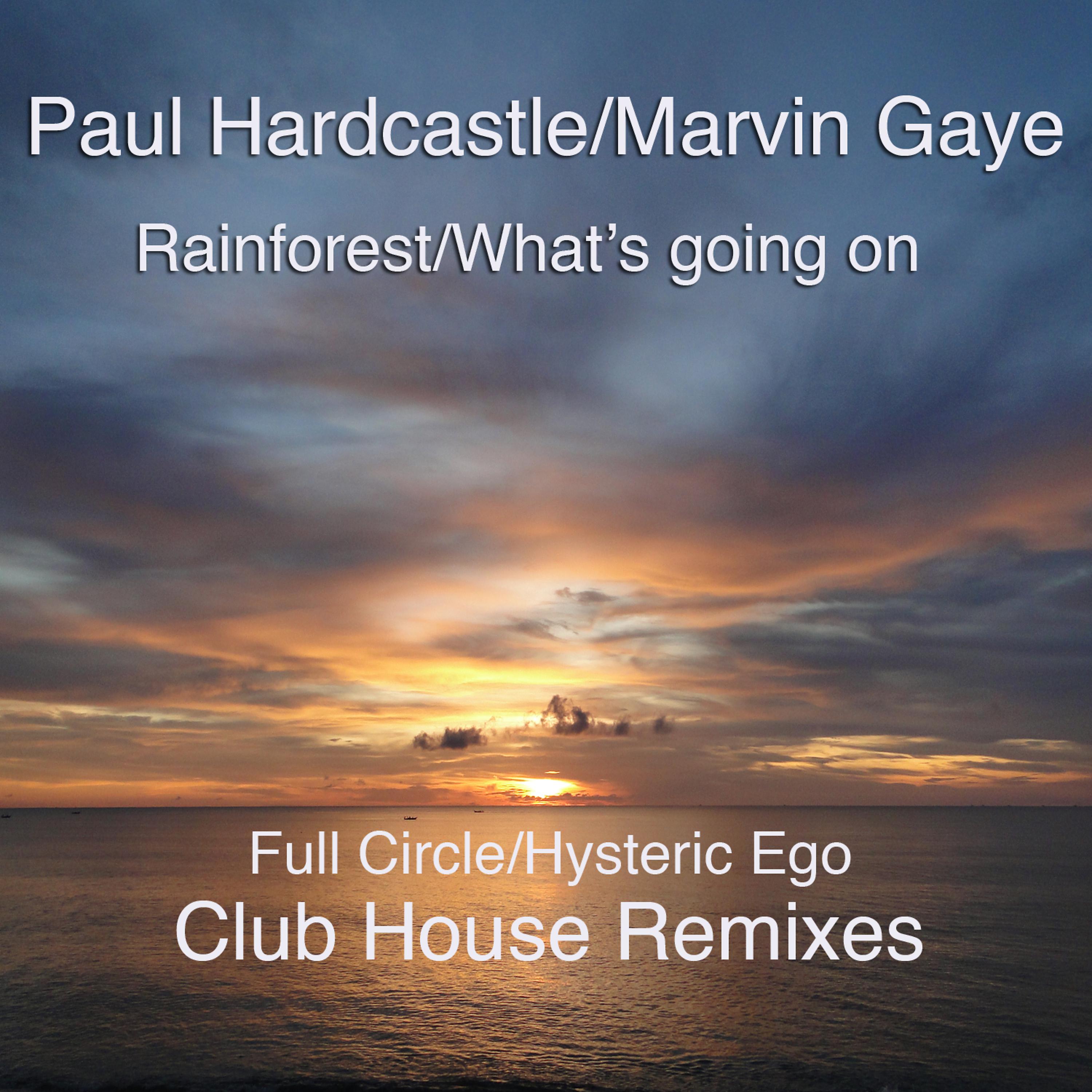 Постер альбома Rainforest/What's Going On  (Club House Remixes)