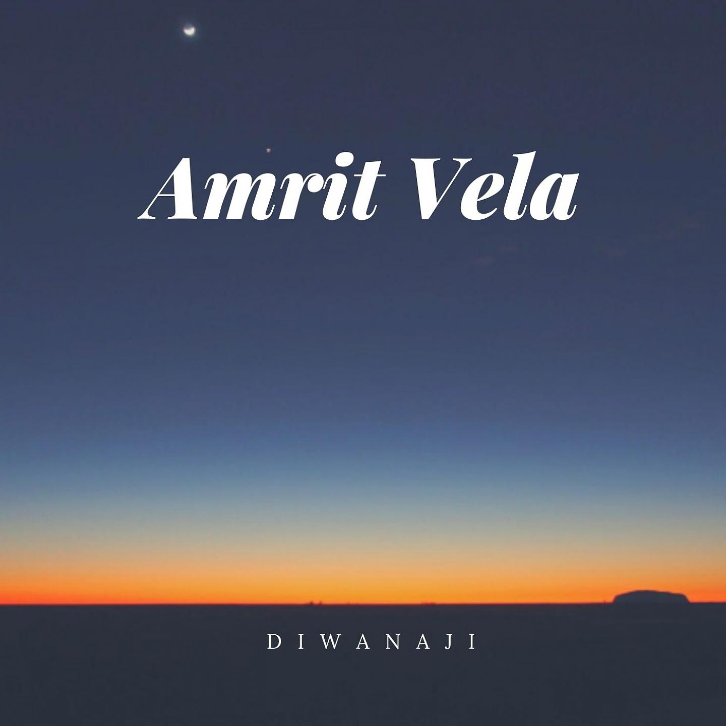 Постер альбома Amrit Vela
