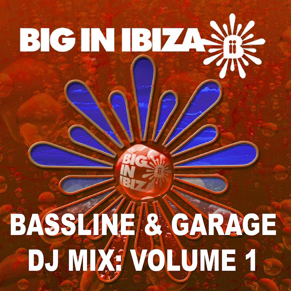 Постер альбома Bassline & Garage: DJ Mix Vol 1
