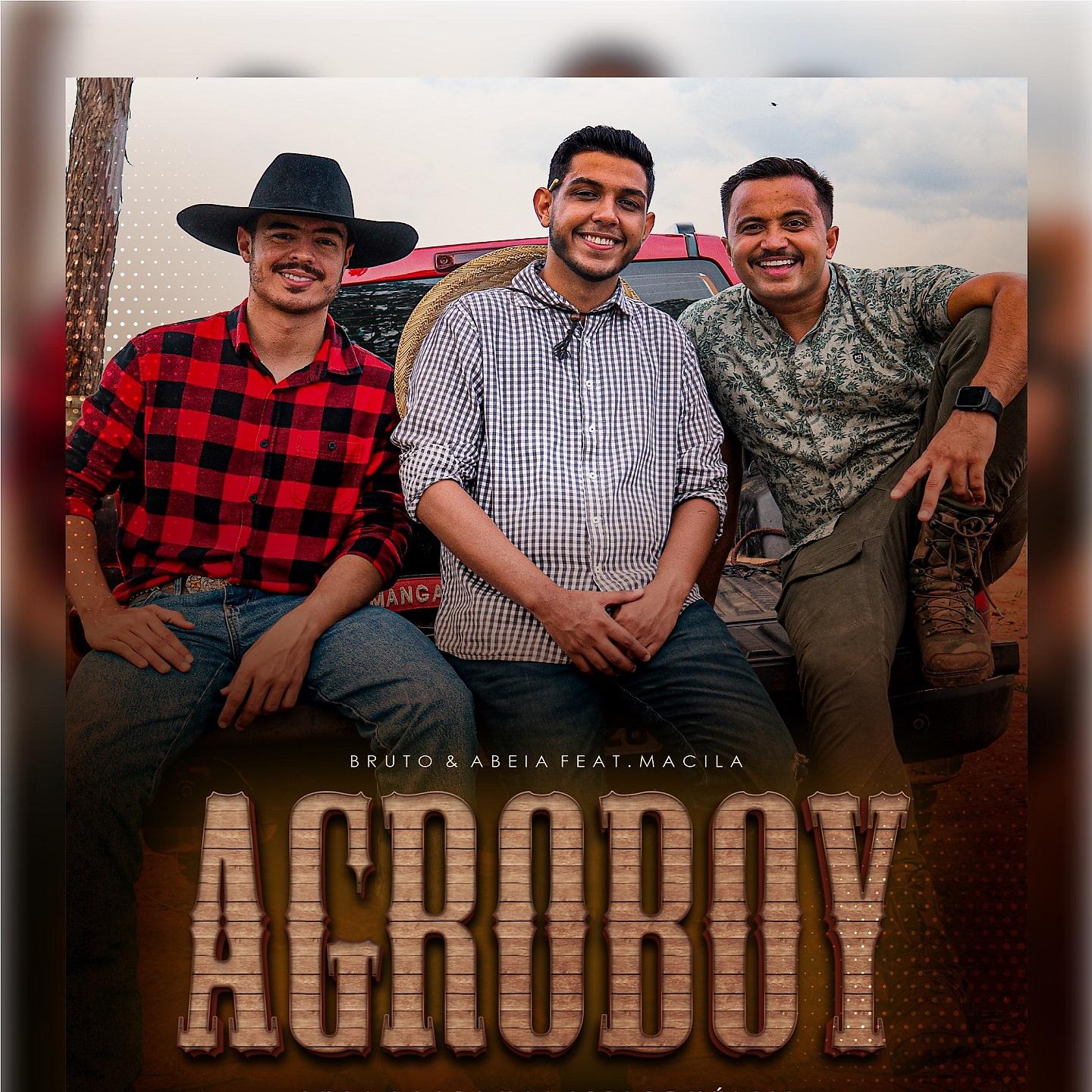 Постер альбома Agroboy