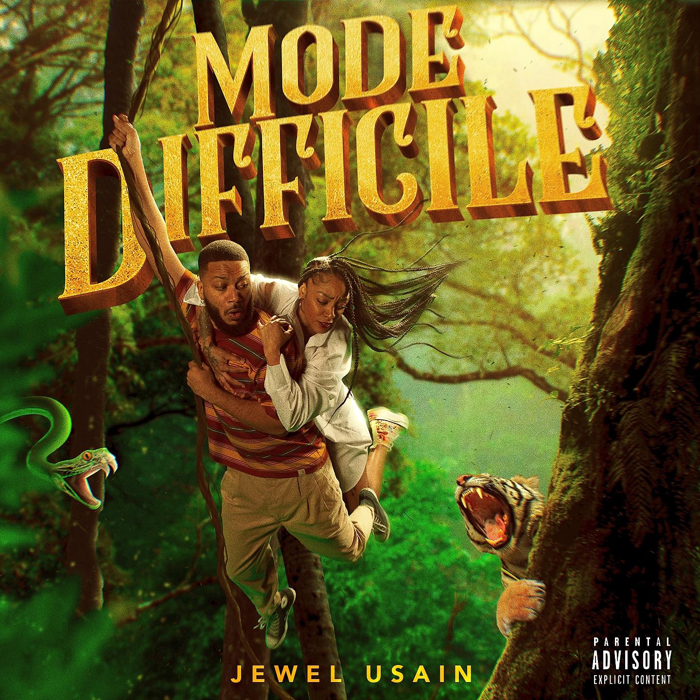 Постер альбома Mode Difficile