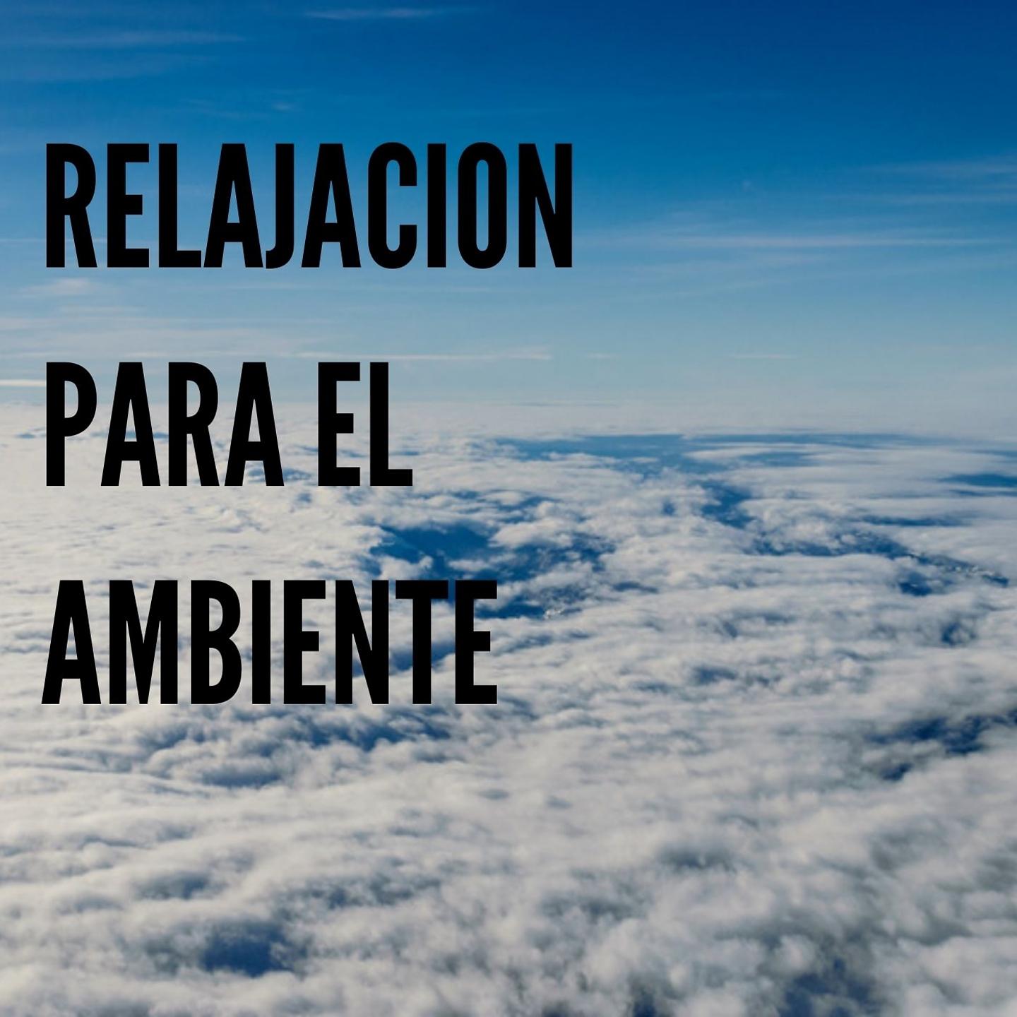 Постер альбома Relajacion para el Ambiente