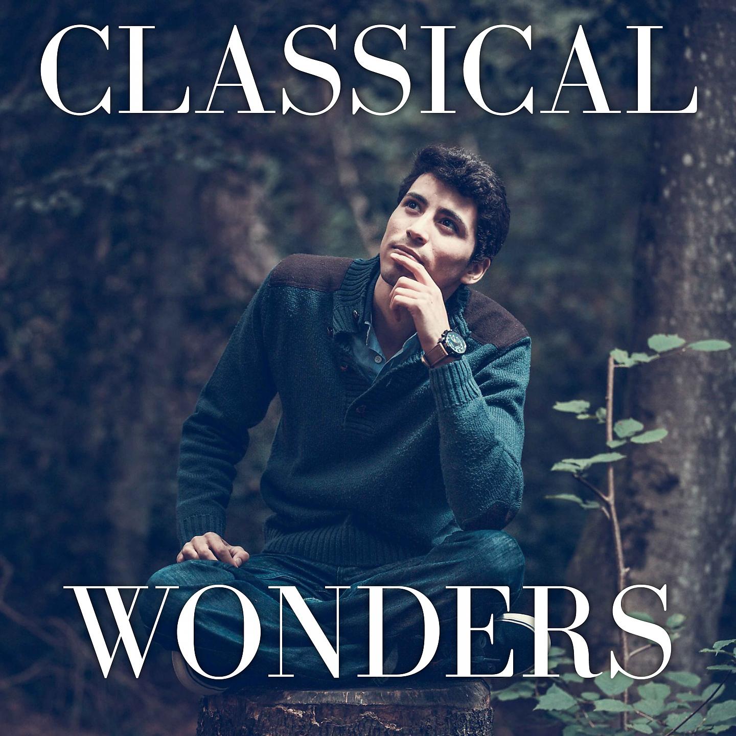 Постер альбома Classical Wonders
