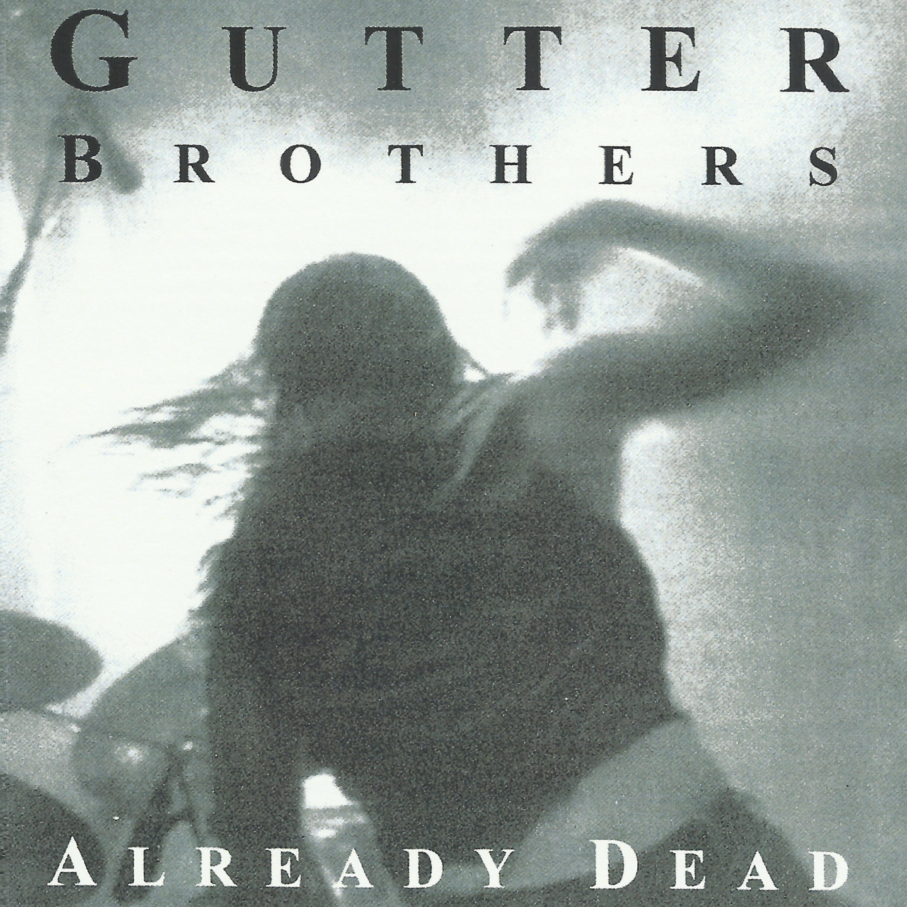 The Gutter Brothers - Butterfly Brains (Live)