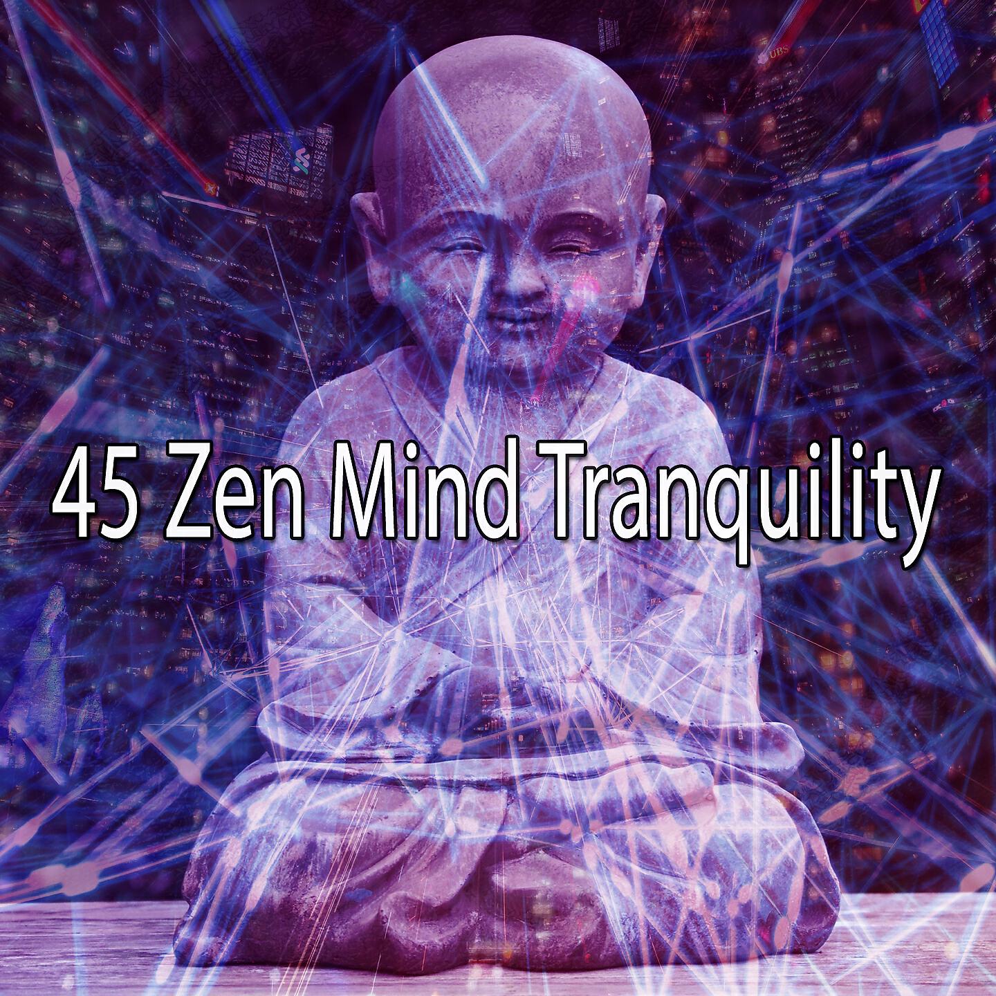 Meditation - Wealth in Happiness