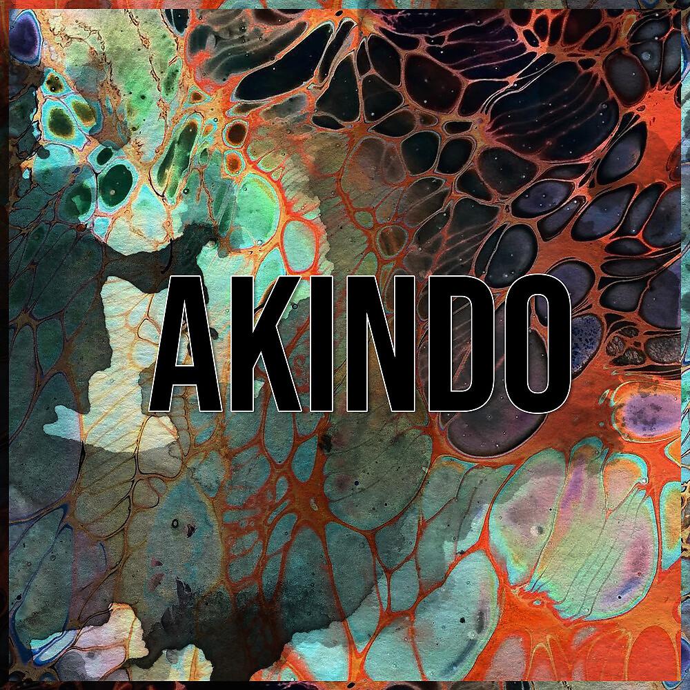 Постер альбома Akindo