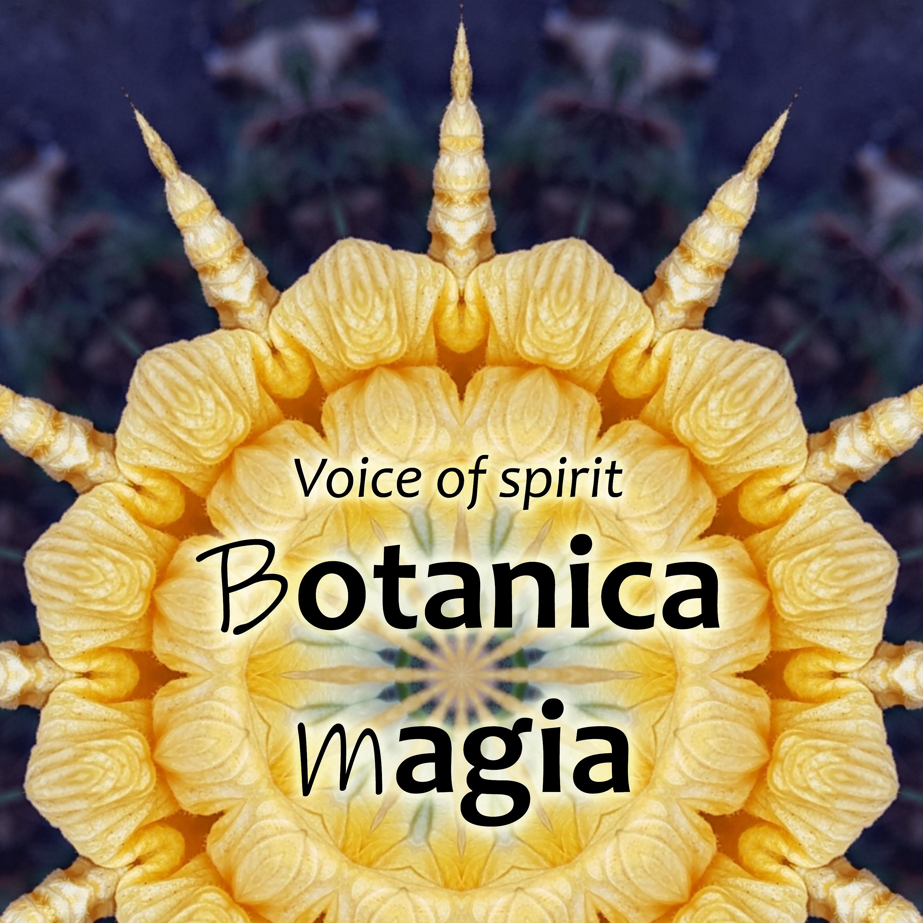 Постер альбома Voice of Spirit