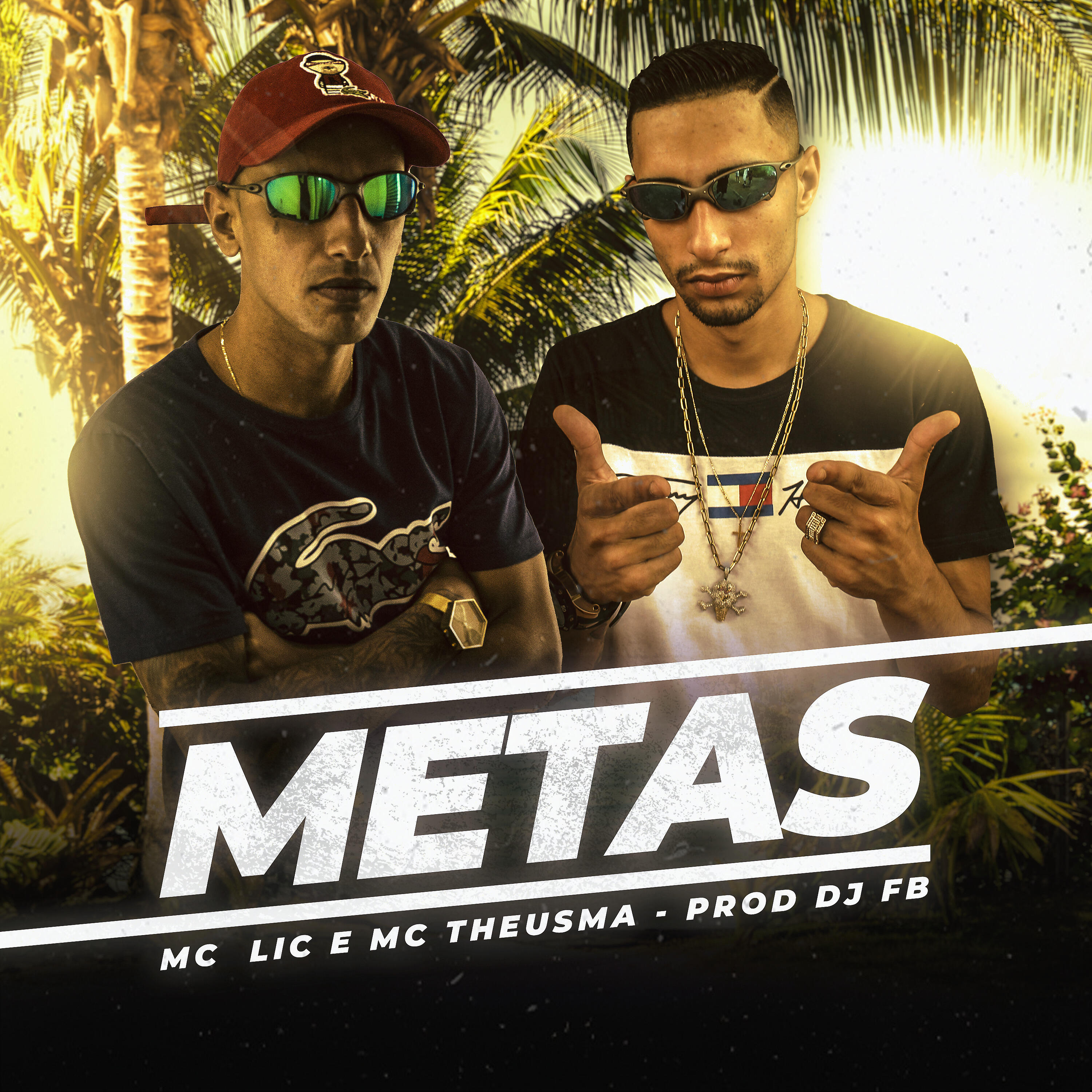 Mc Lic - Metas