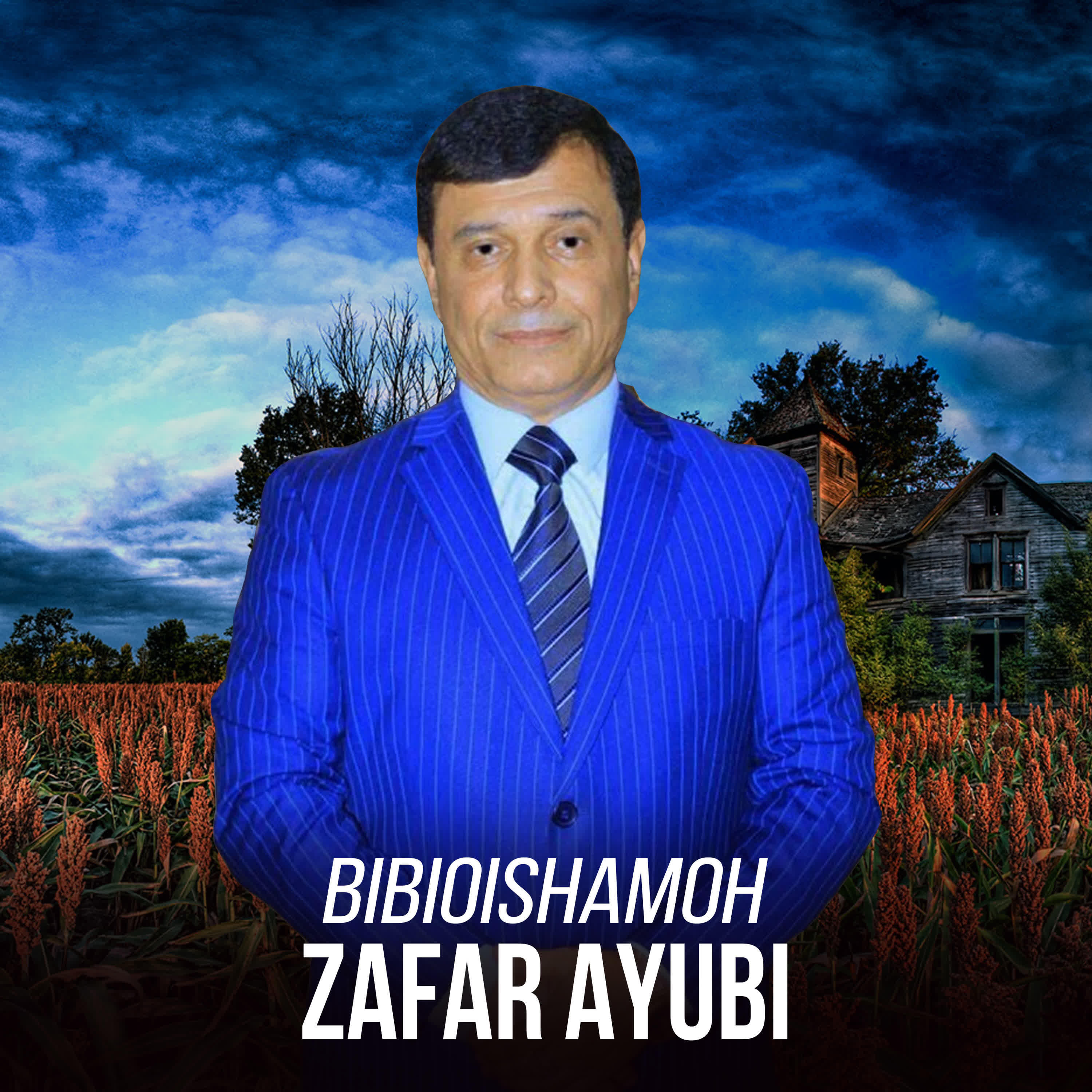 Zafar Ayubi - Guli Marjon