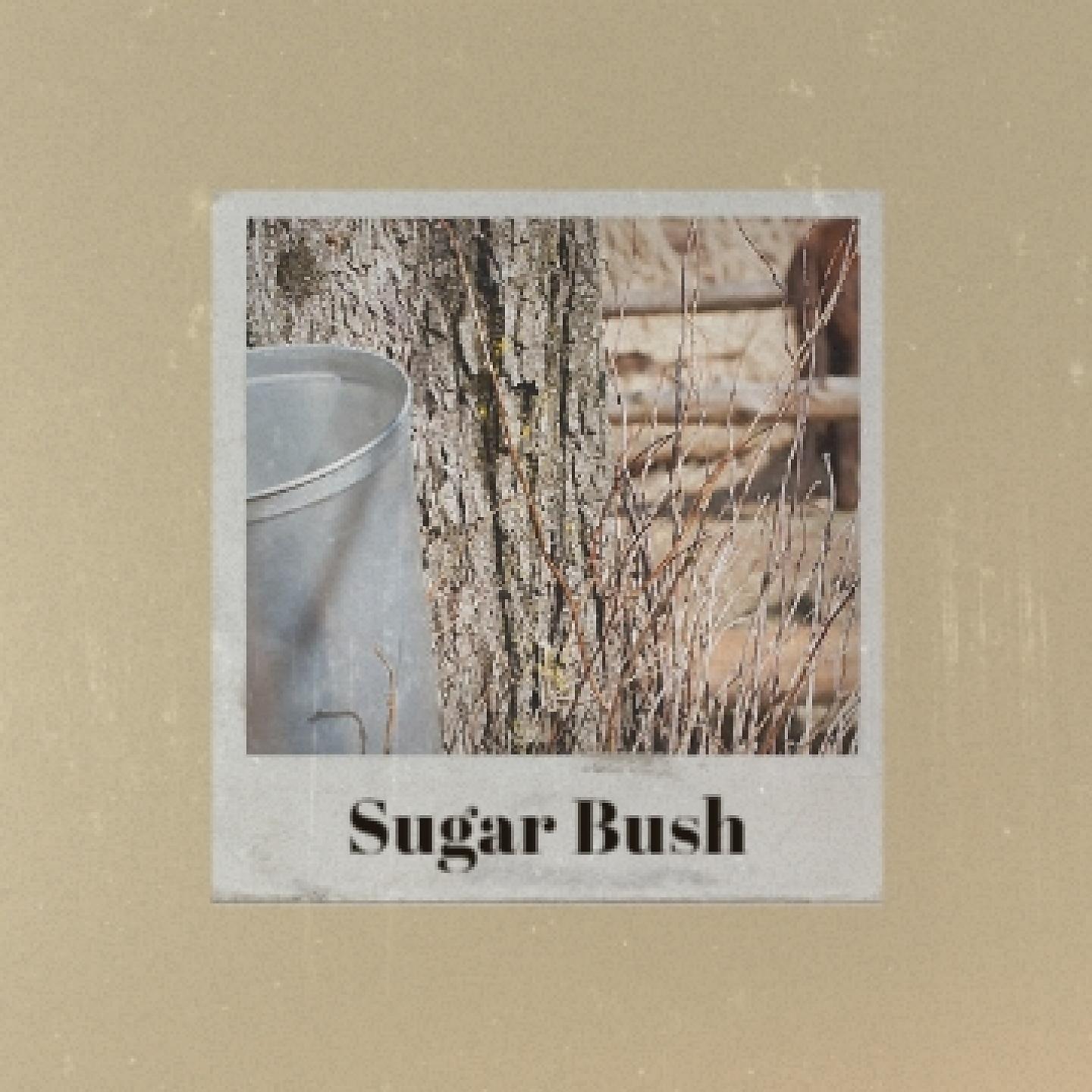 Постер альбома Sugar Bush