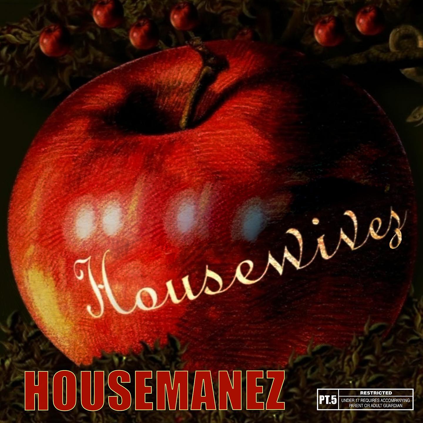 Постер альбома HousewiveZ