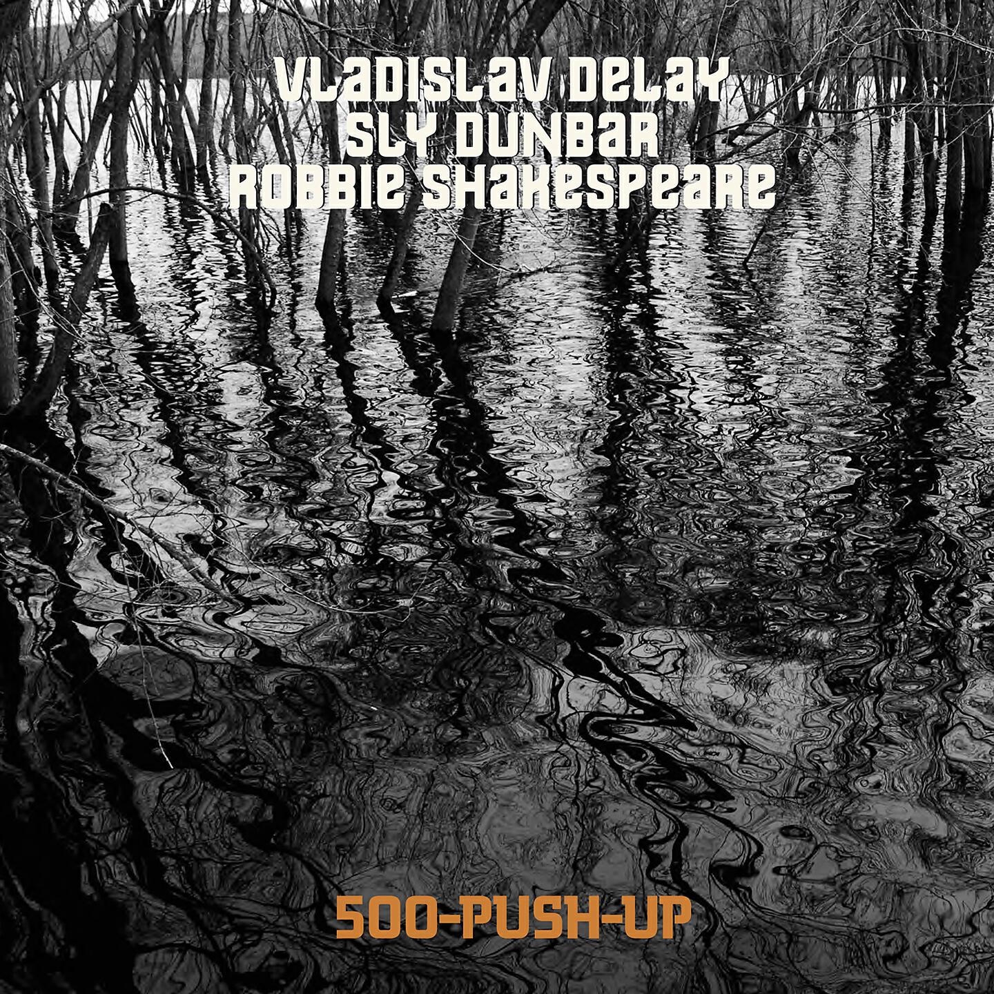 Vladislav Delay - (519)