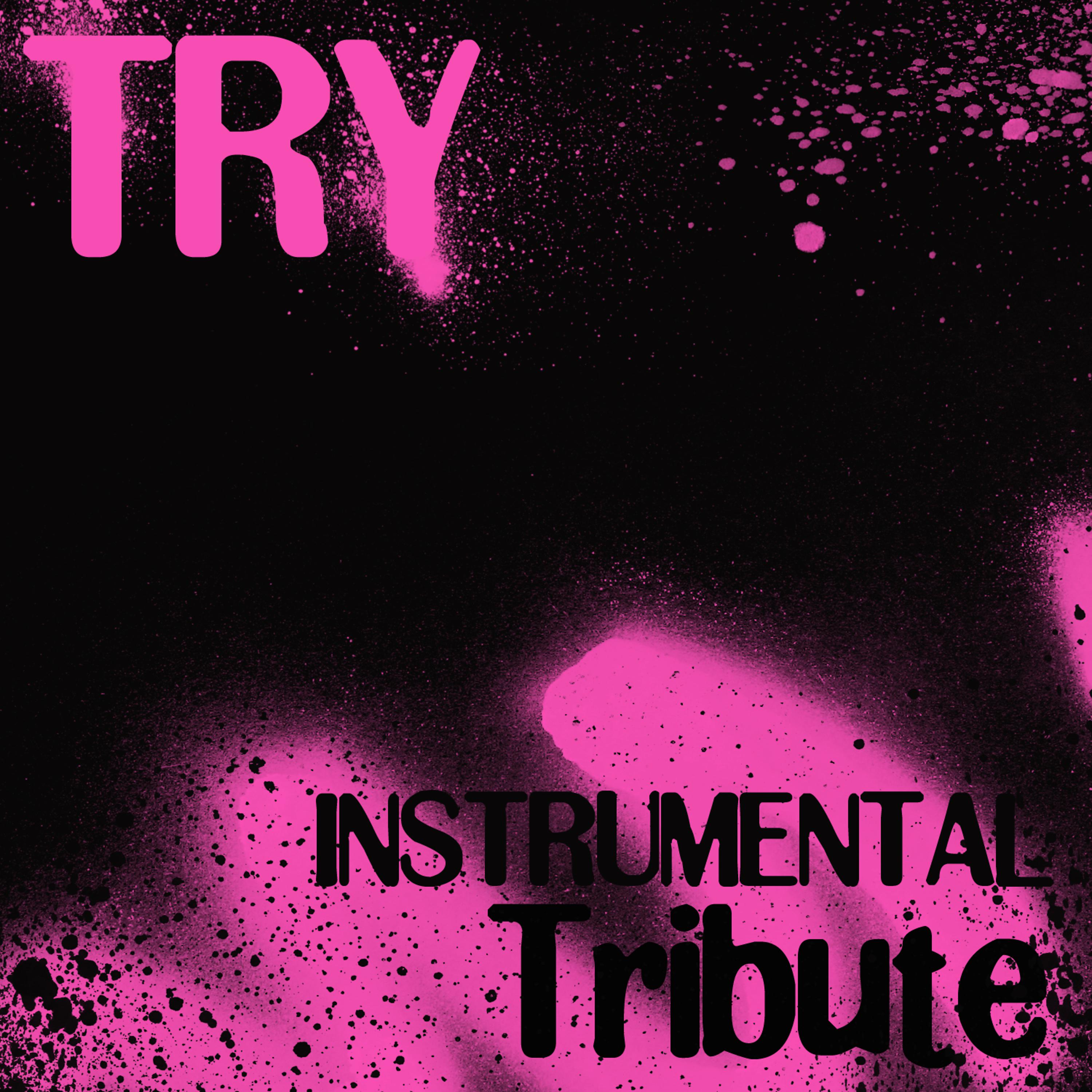 Постер альбома Try (Karaoke Tribute to Pink)