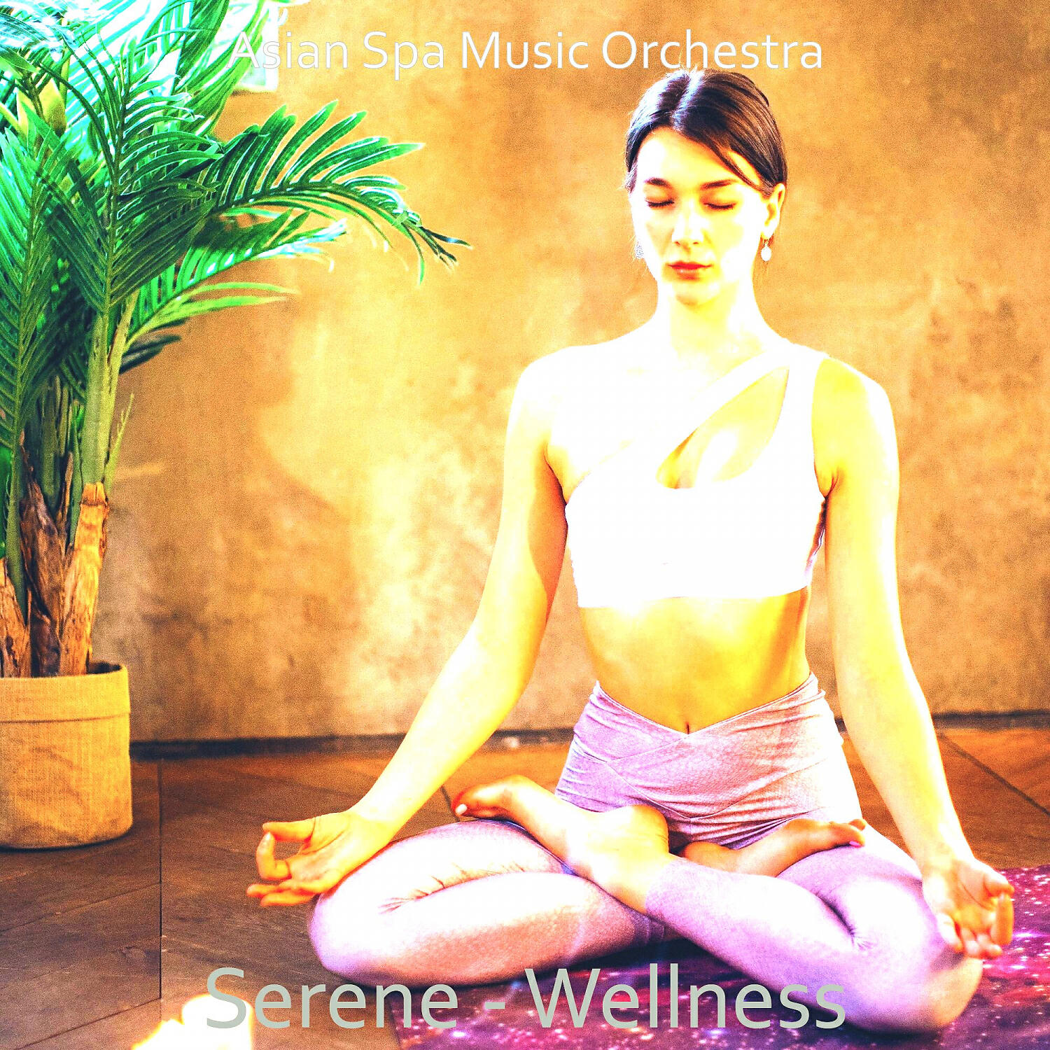 Asian Spa Music Orchestra - Fantastic (Massage Therapy)