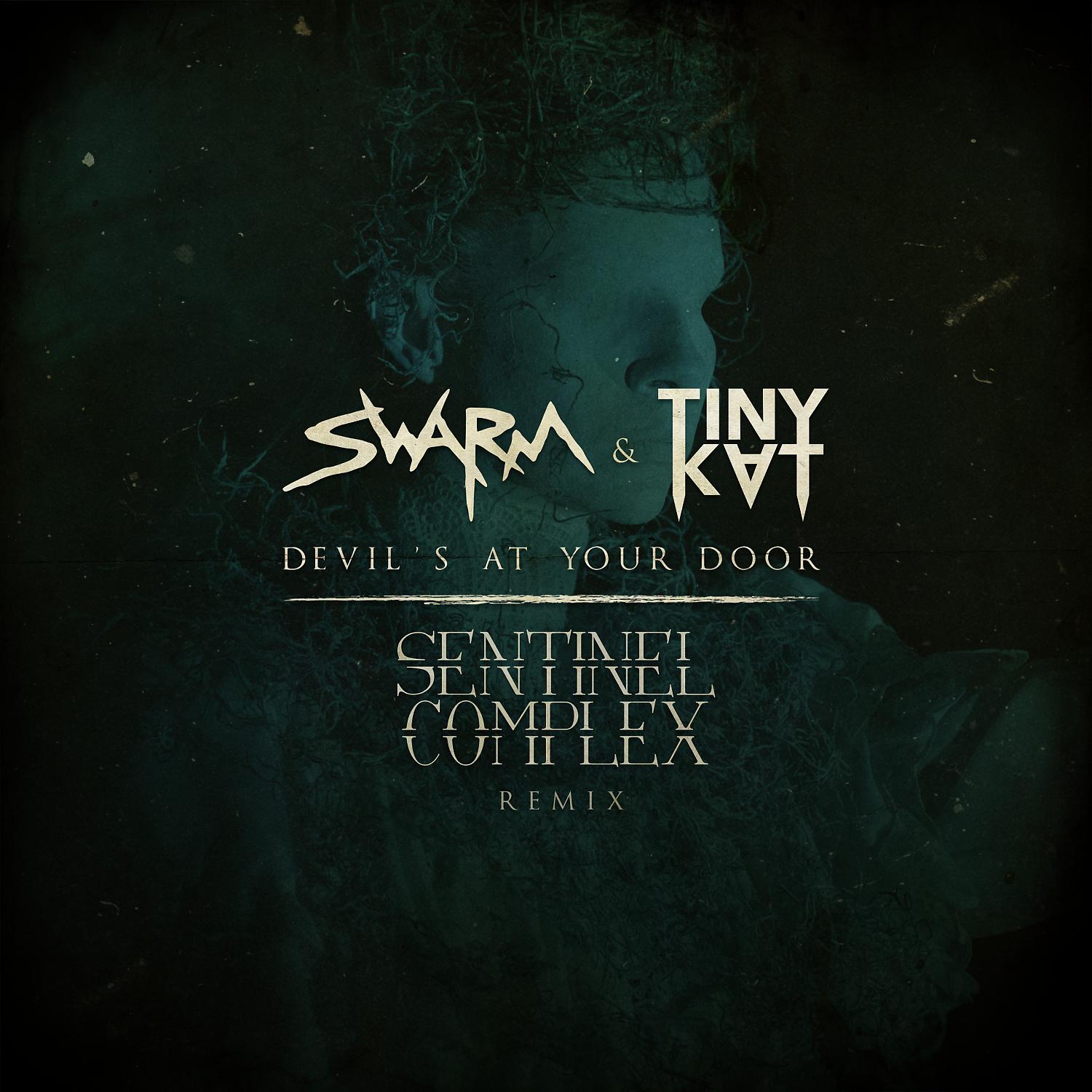 Постер альбома Devil's At Your Door (Sentinel Complex Remix)