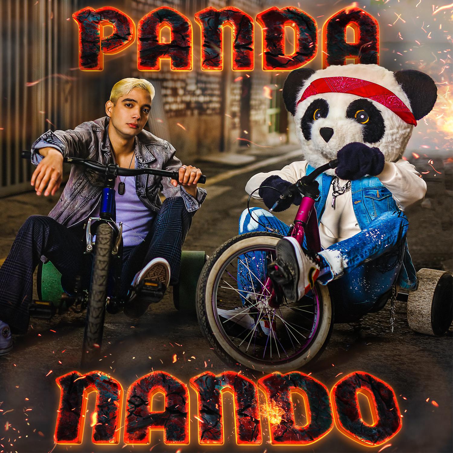 Постер альбома La Canción de Nando & Panda