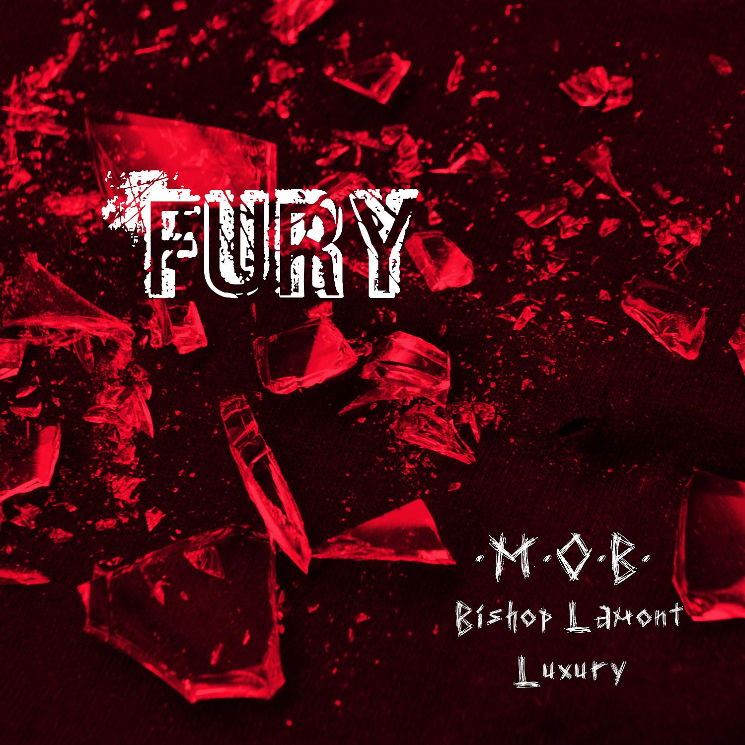 Постер альбома FURY