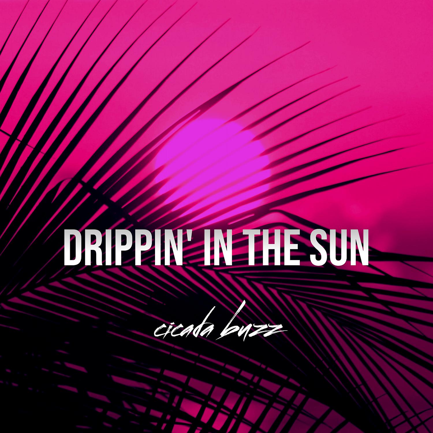 Постер альбома drippin' in the sun (feat. Karatii Kid)