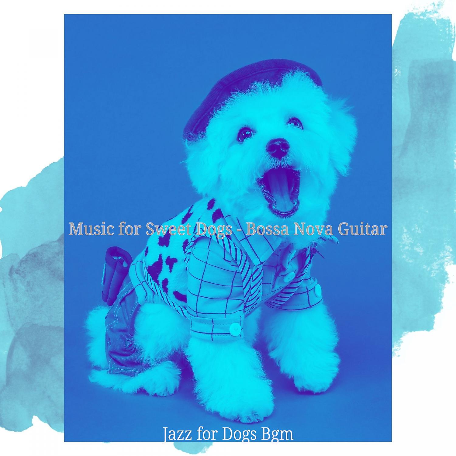 Постер альбома Music for Sweet Dogs - Bossa Nova Guitar