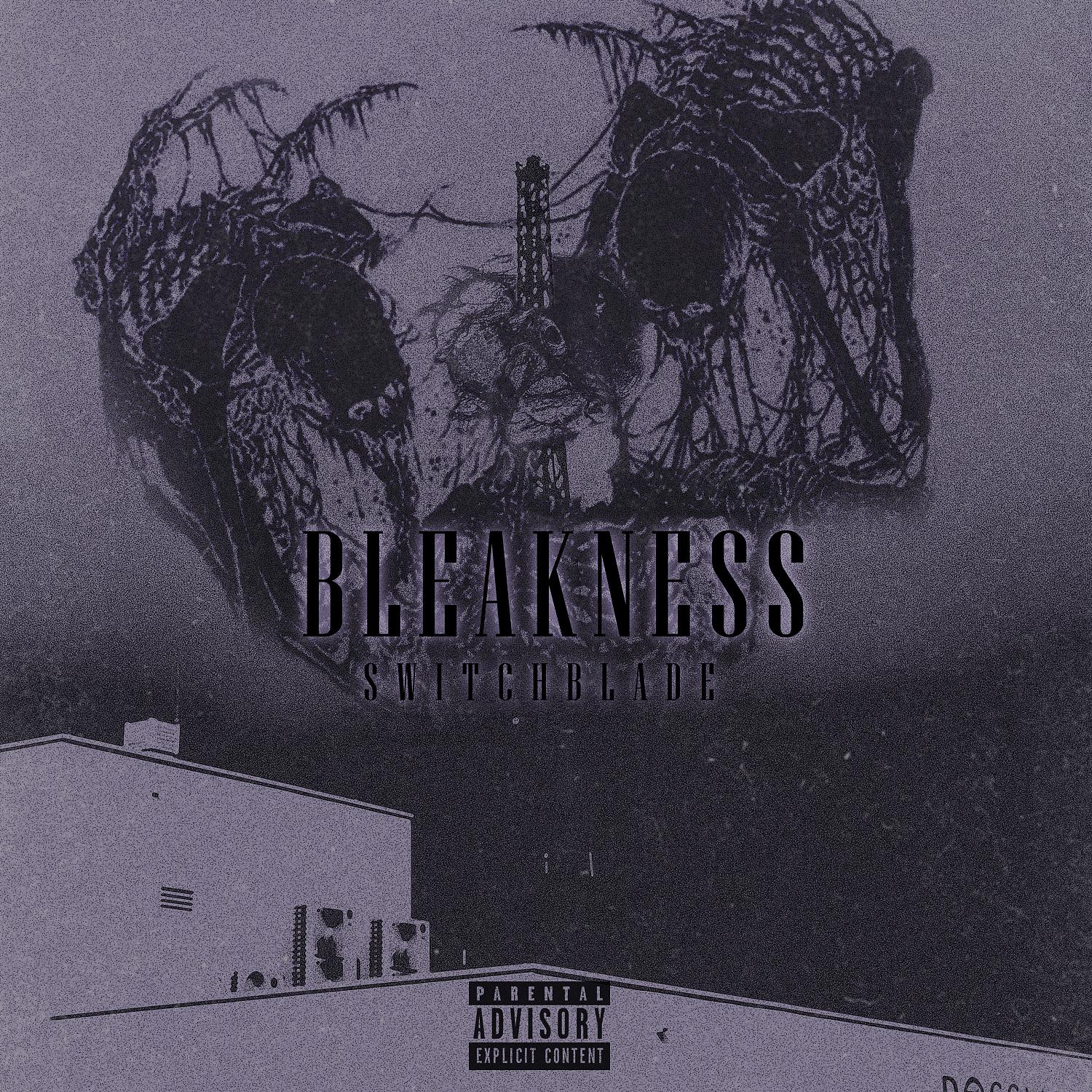 Постер альбома Bleakness