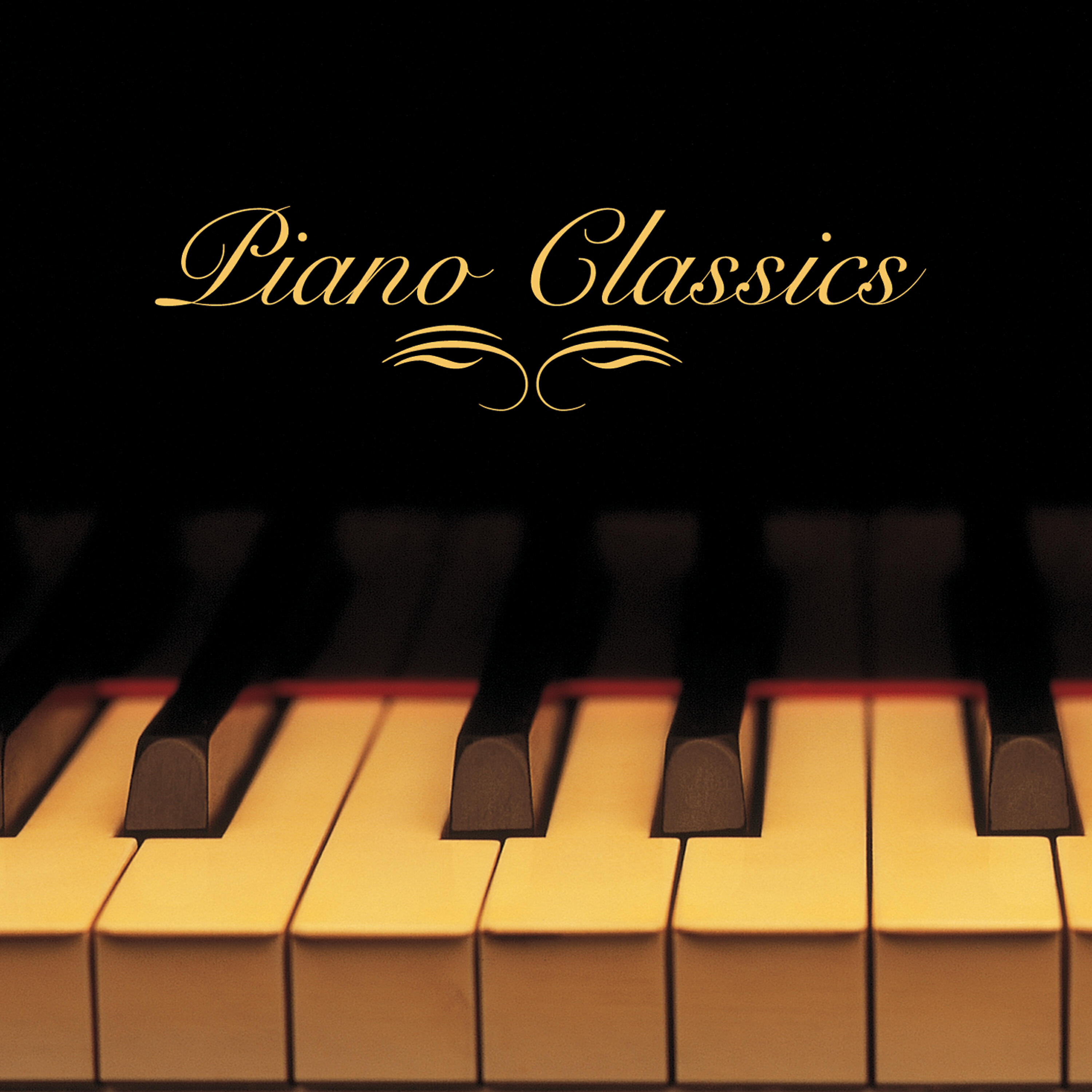 The Sign Posters - Moonlight Sonata (first mvt)